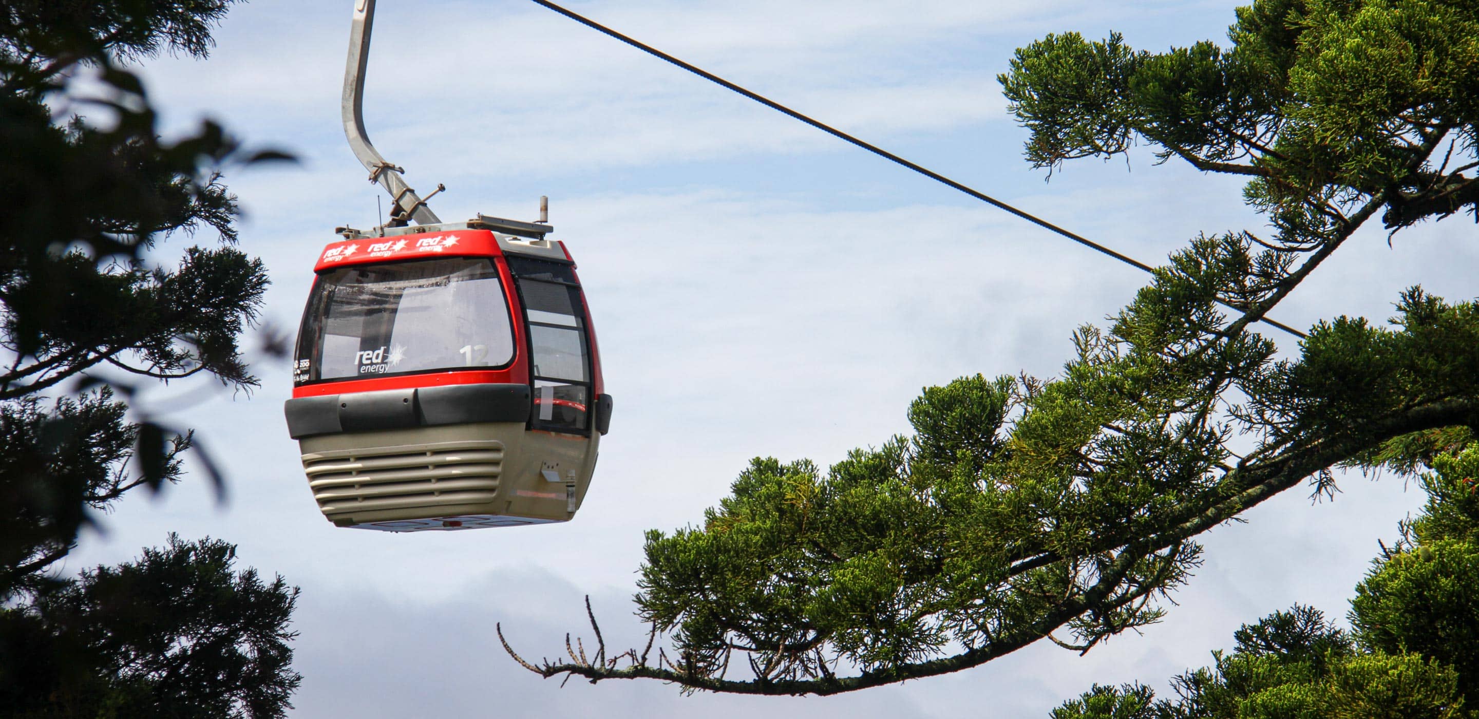 Sky Safari Gondola