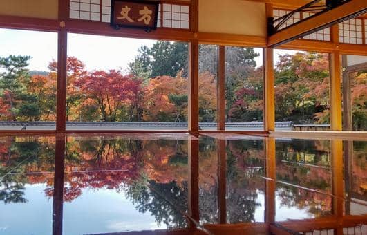 Autumn Foliage