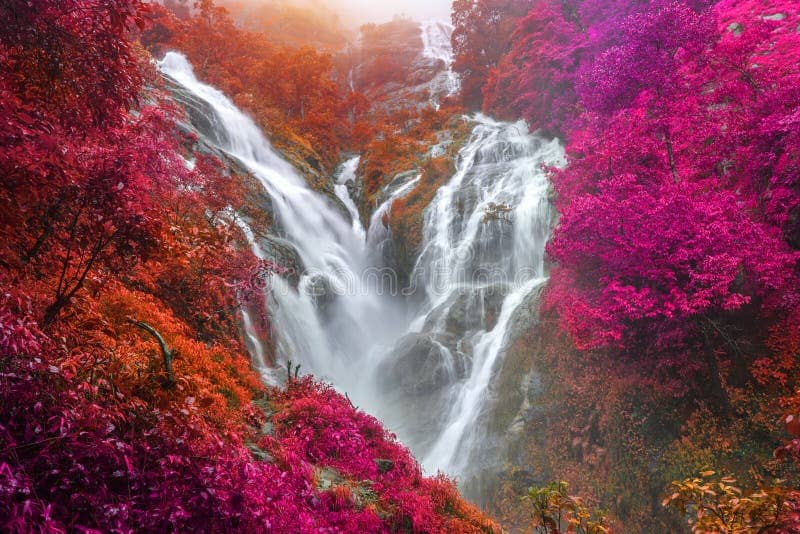 Lush Greenery and Flora
