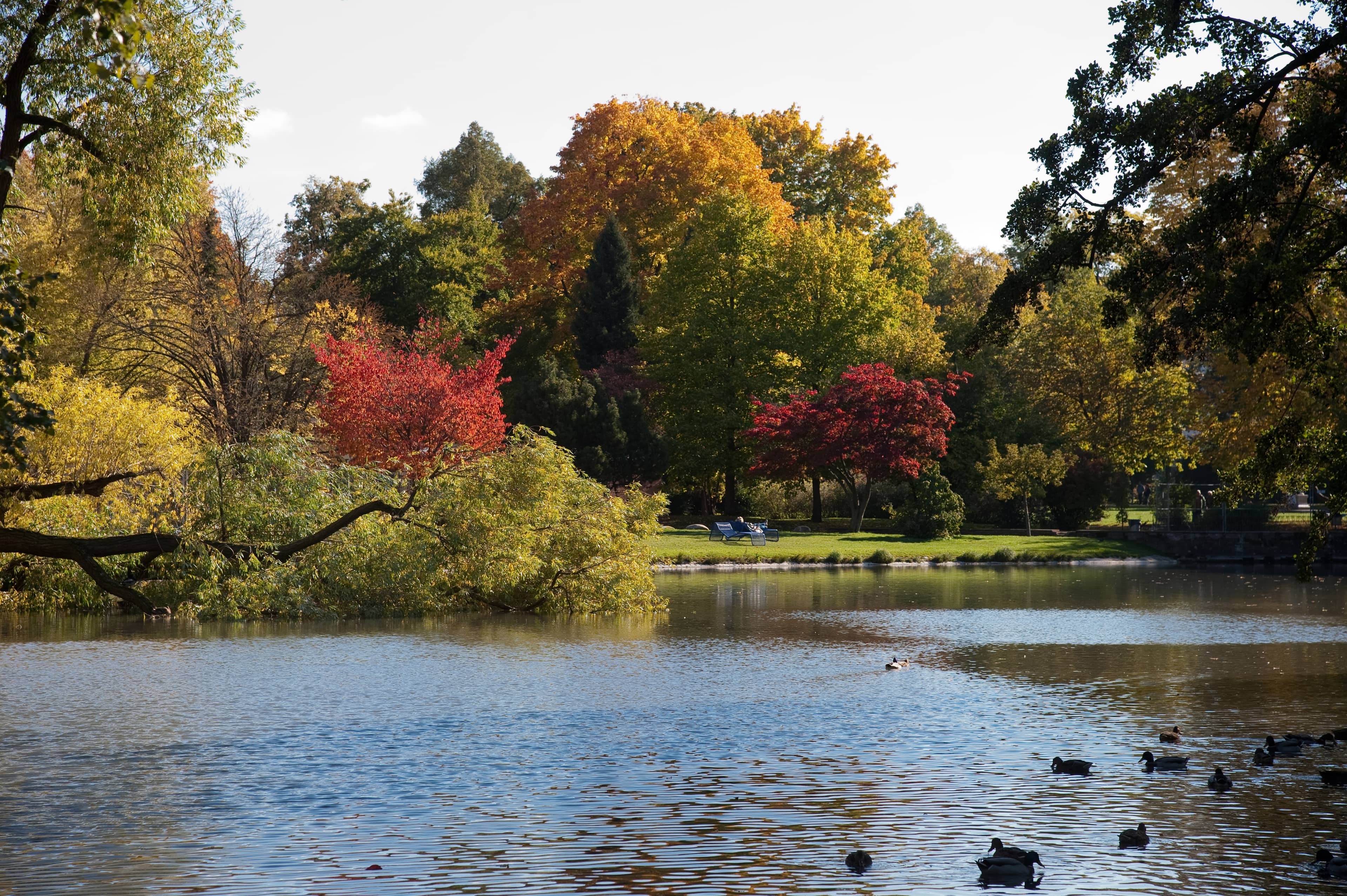 Serene Pond