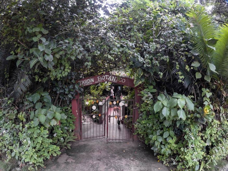 Informative Guided Tours