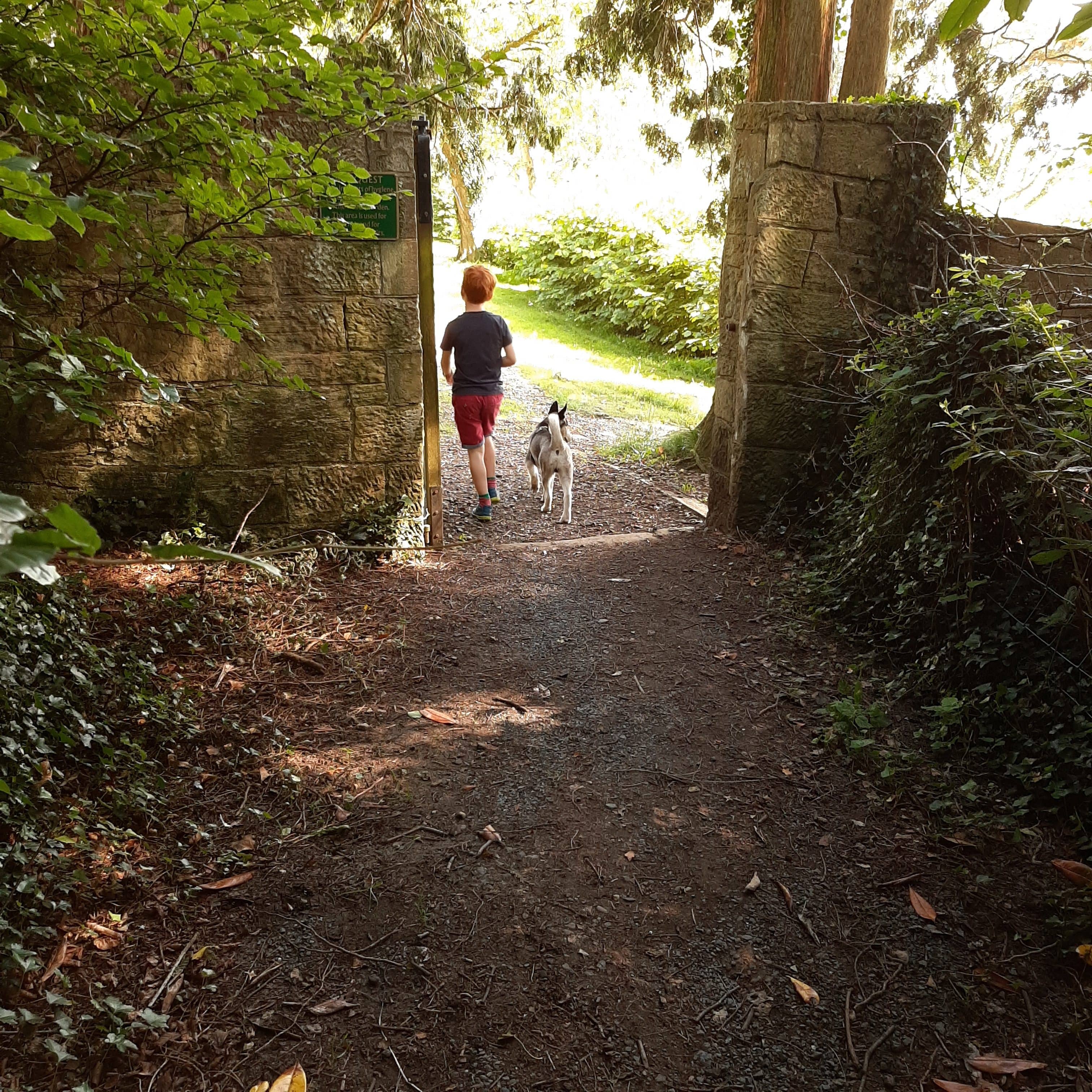 Scrabo Country Park Trails