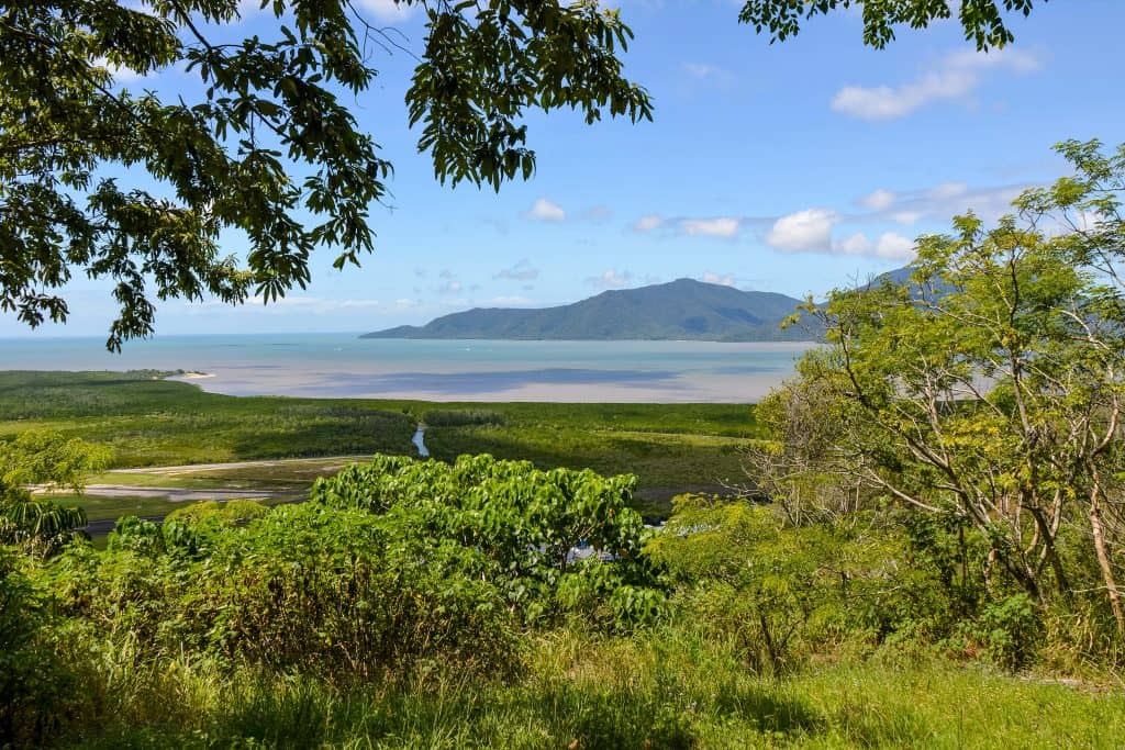 Airport Runway Views