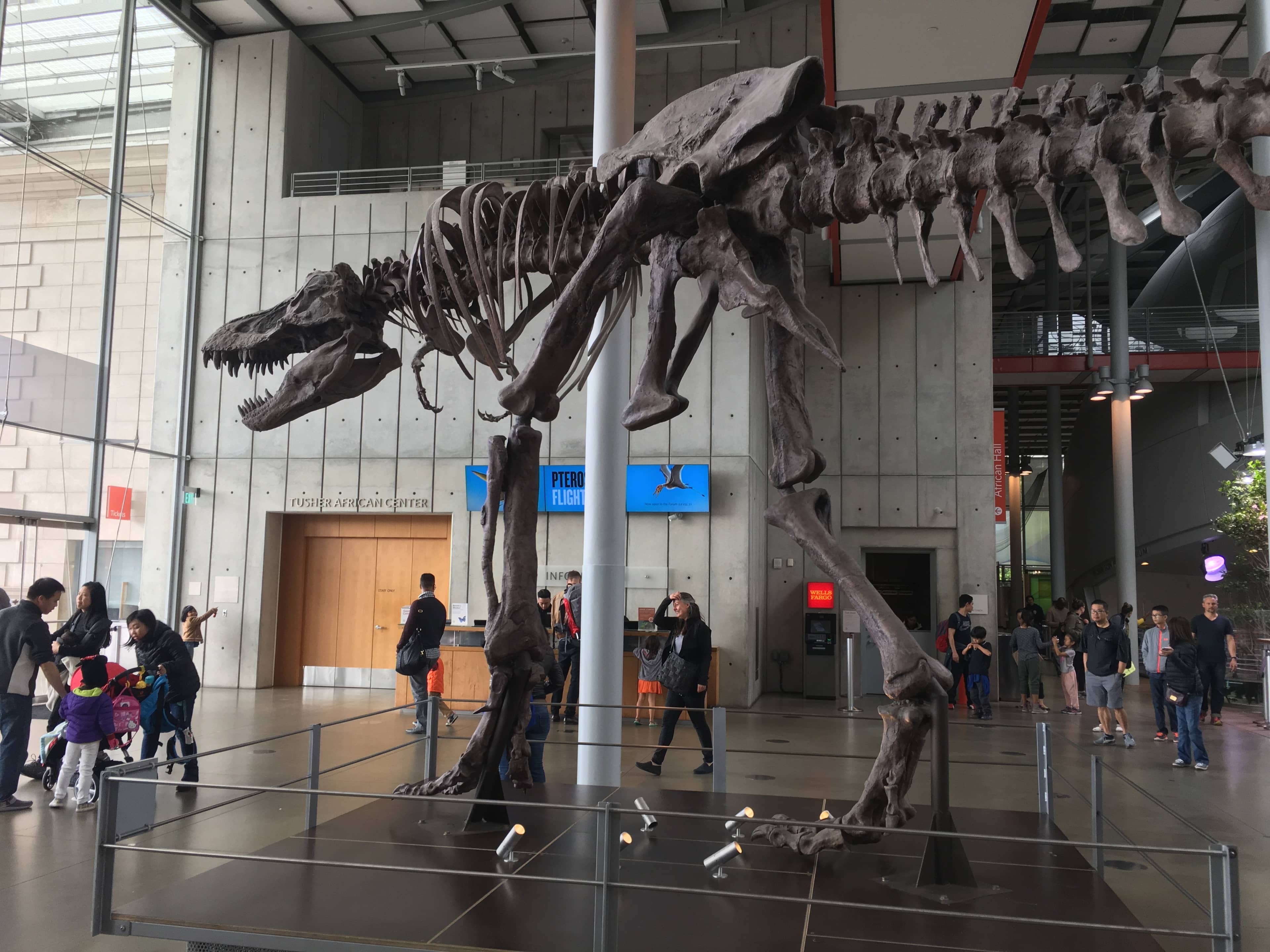 Kimball Natural History Museum