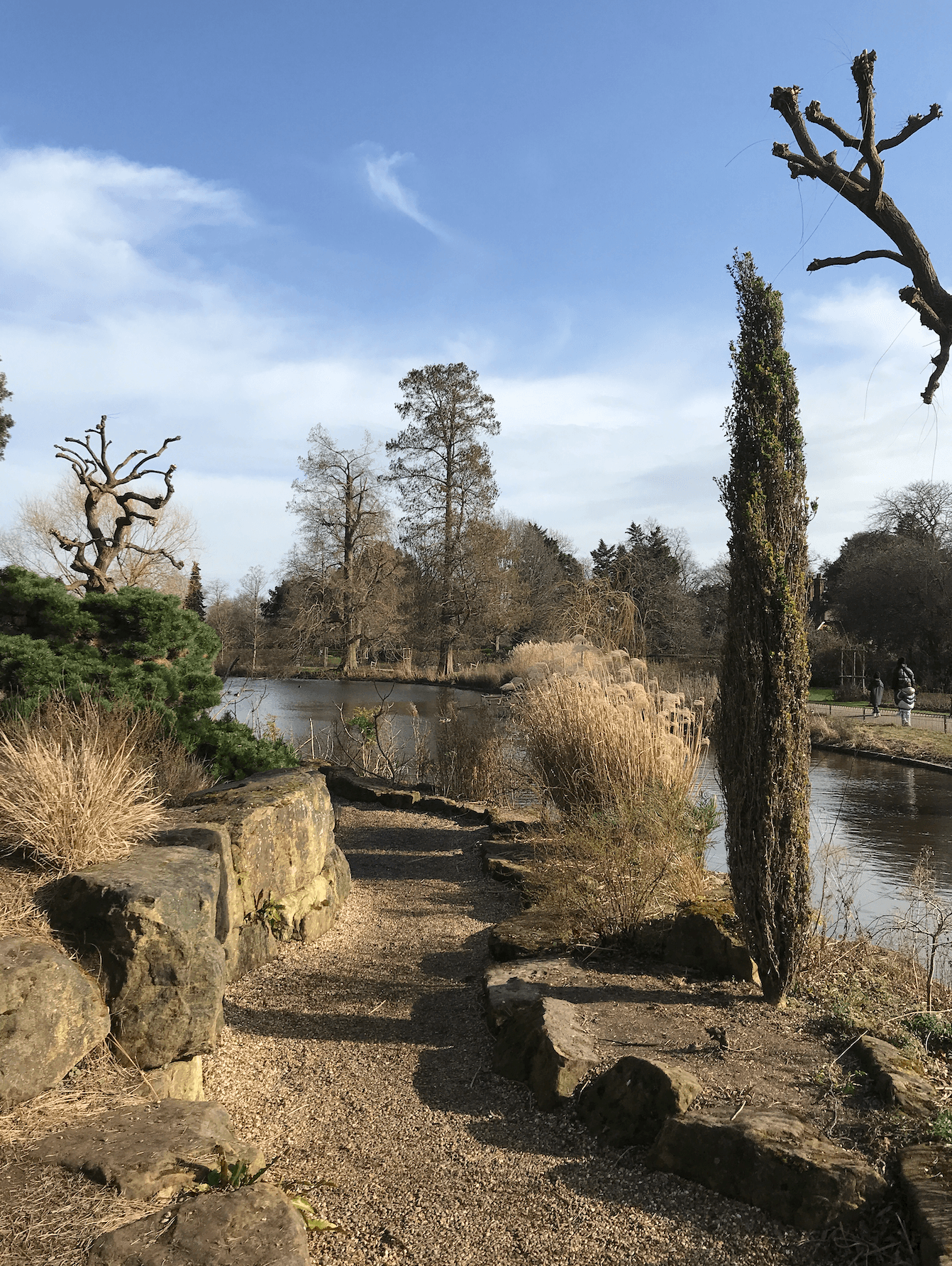 The Japanese Garden