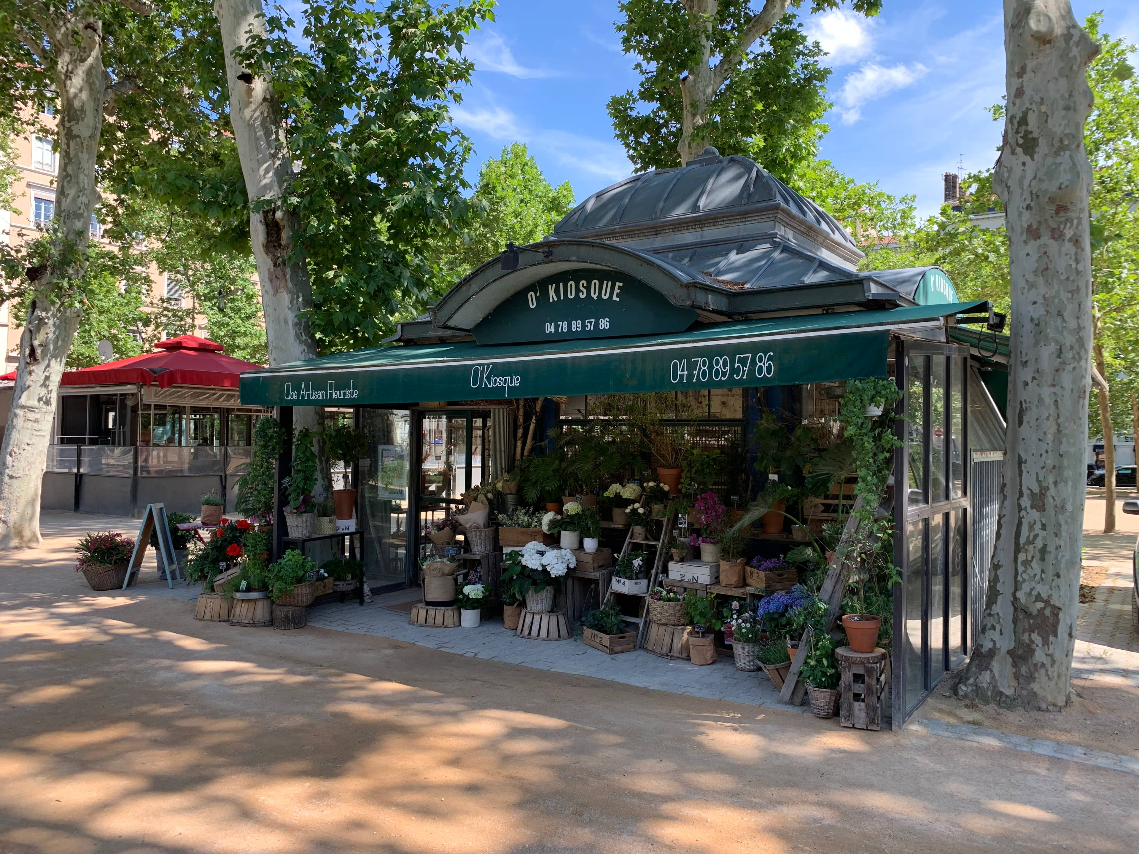 Botanical Finds
