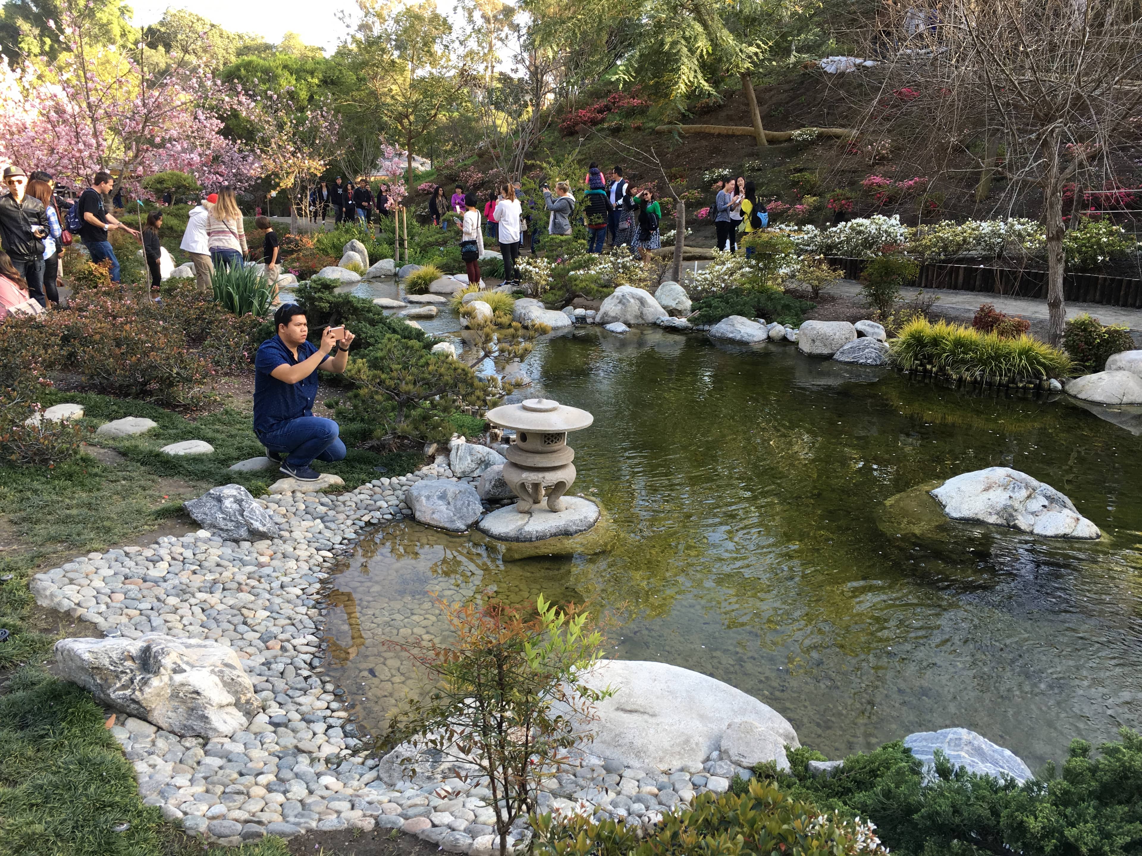 Japanese Friendship Garden