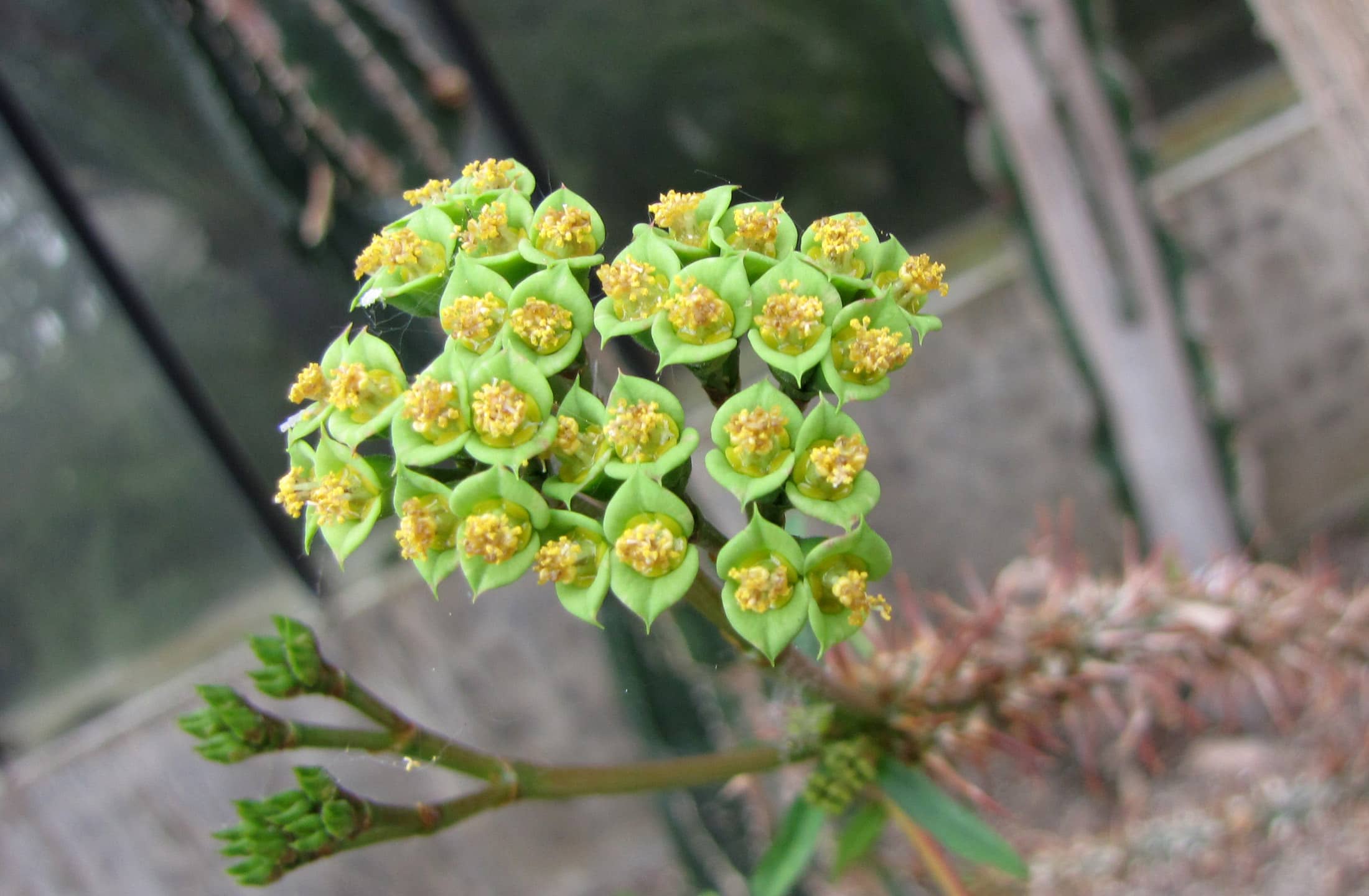 Peaceful Outdoor Gardens