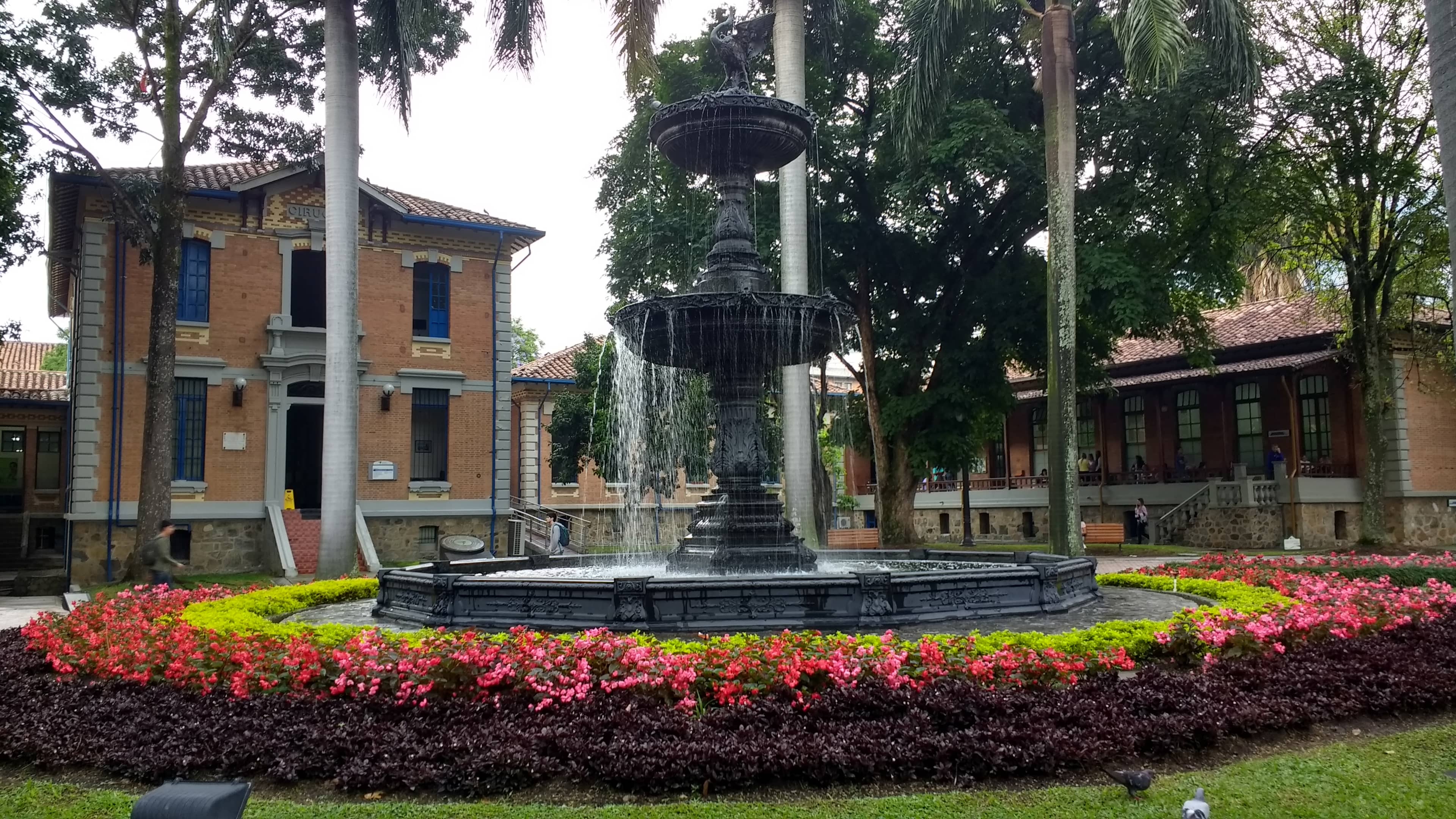 Nearby Outdoor Food Court