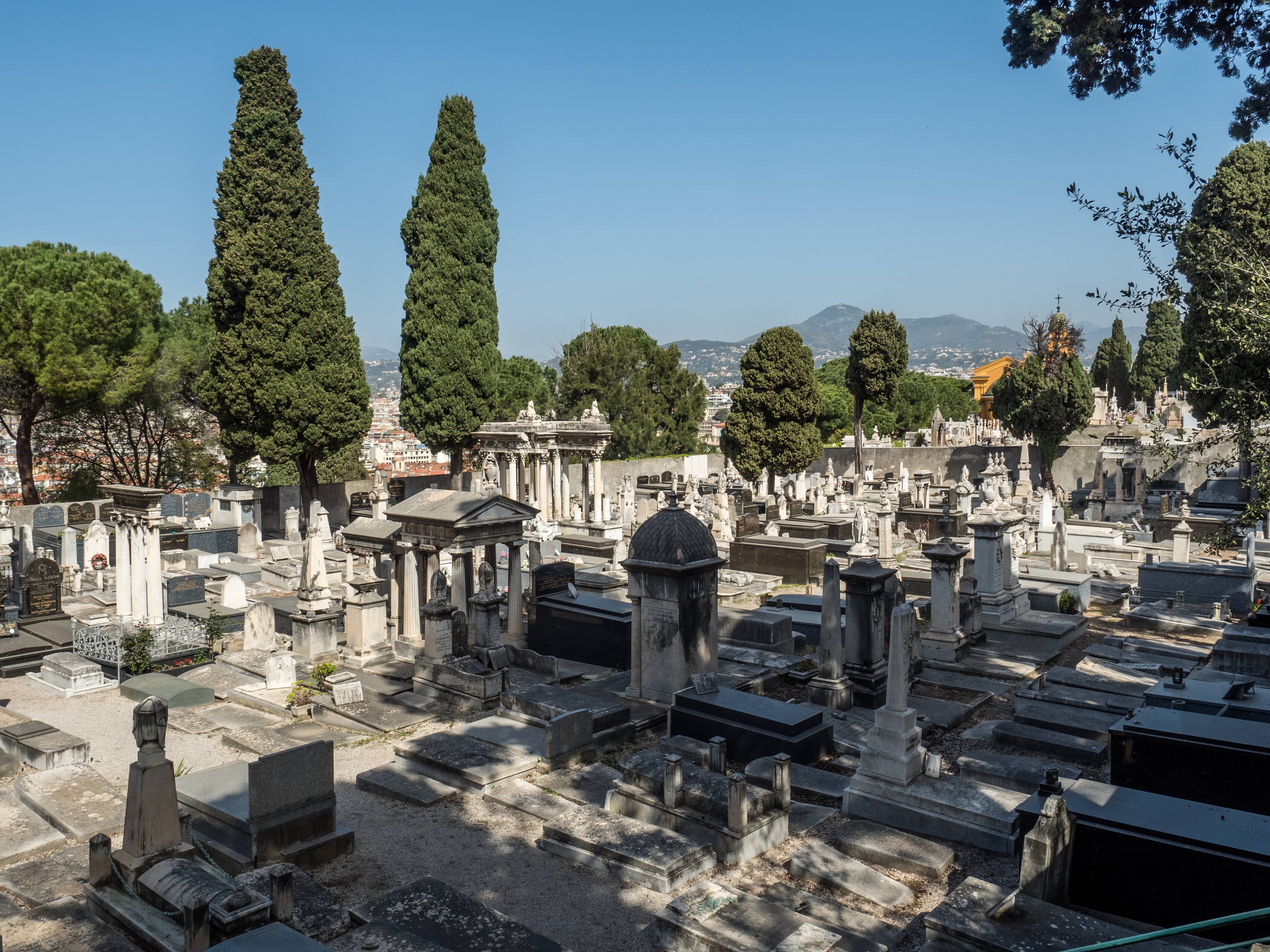 Panoramic City Views