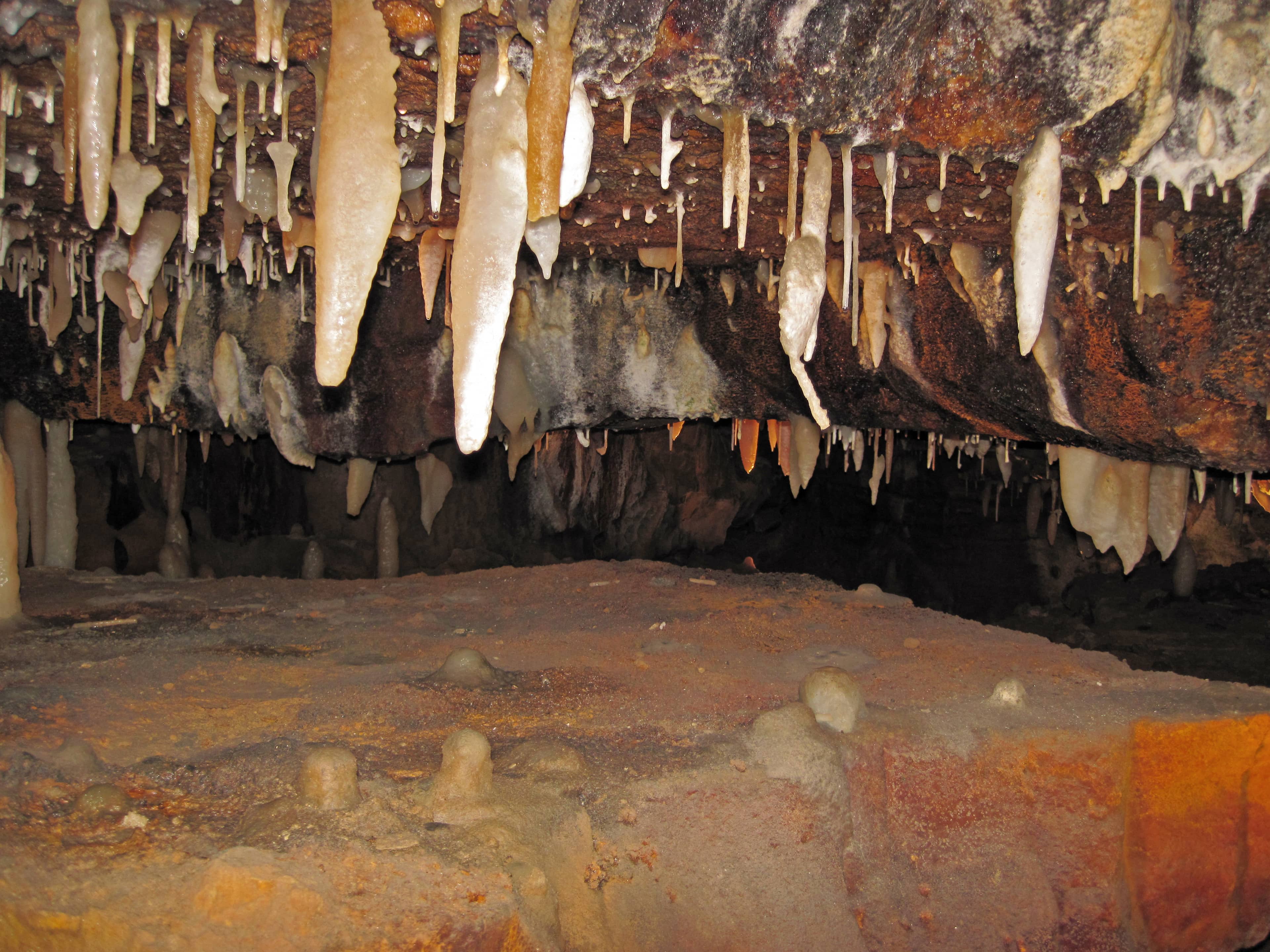 Historic Tour Discovery