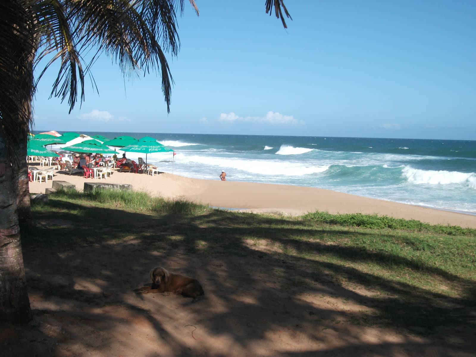 Surfing & Bodyboarding Waves