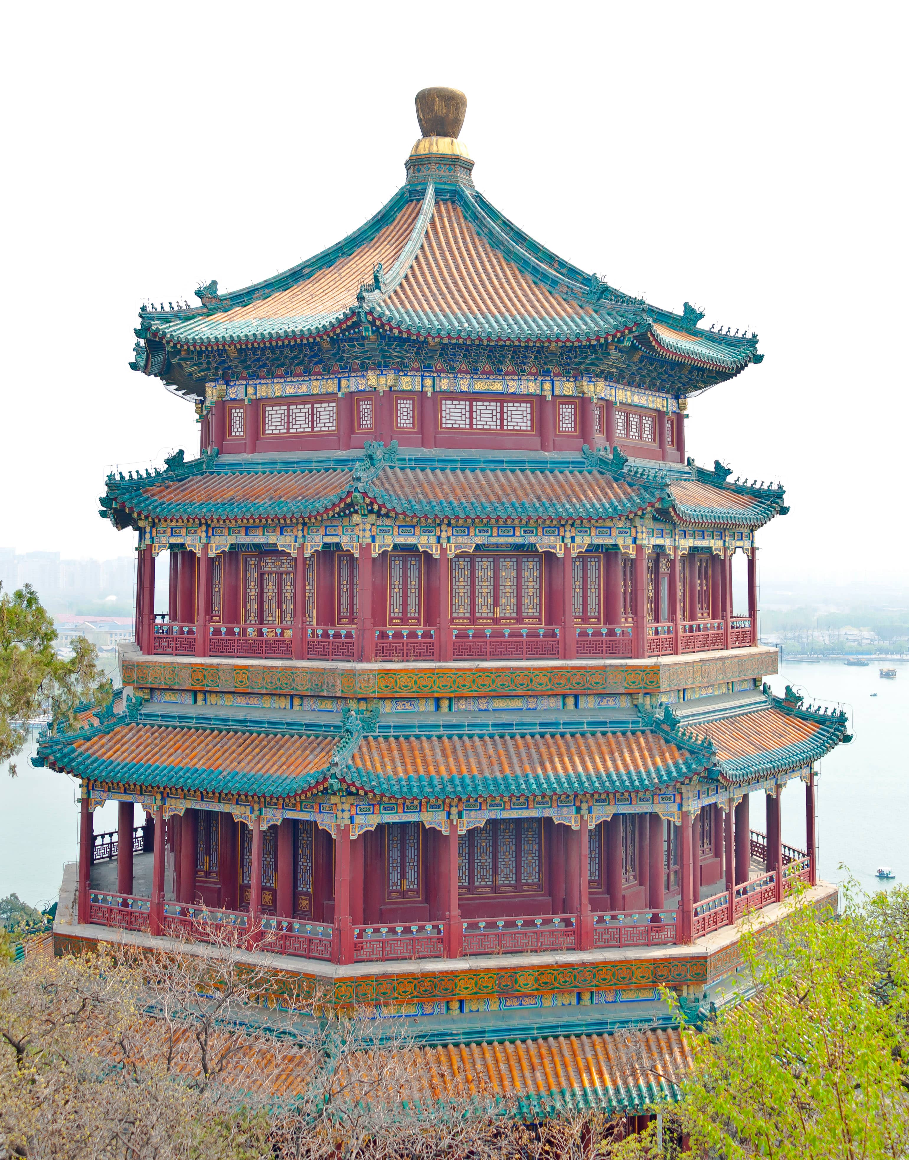 Longevity Hill