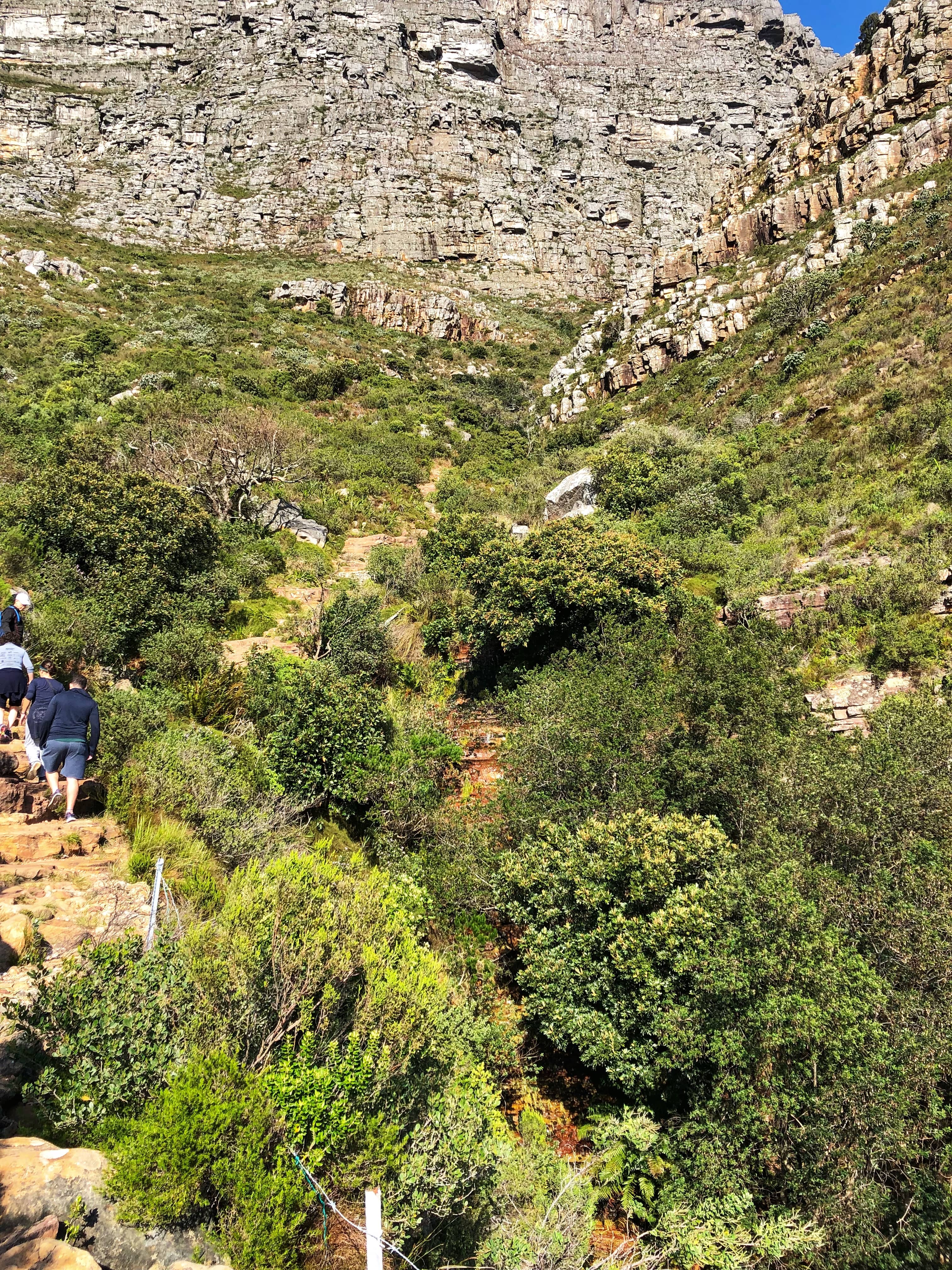 Platteklip Gorge Hike