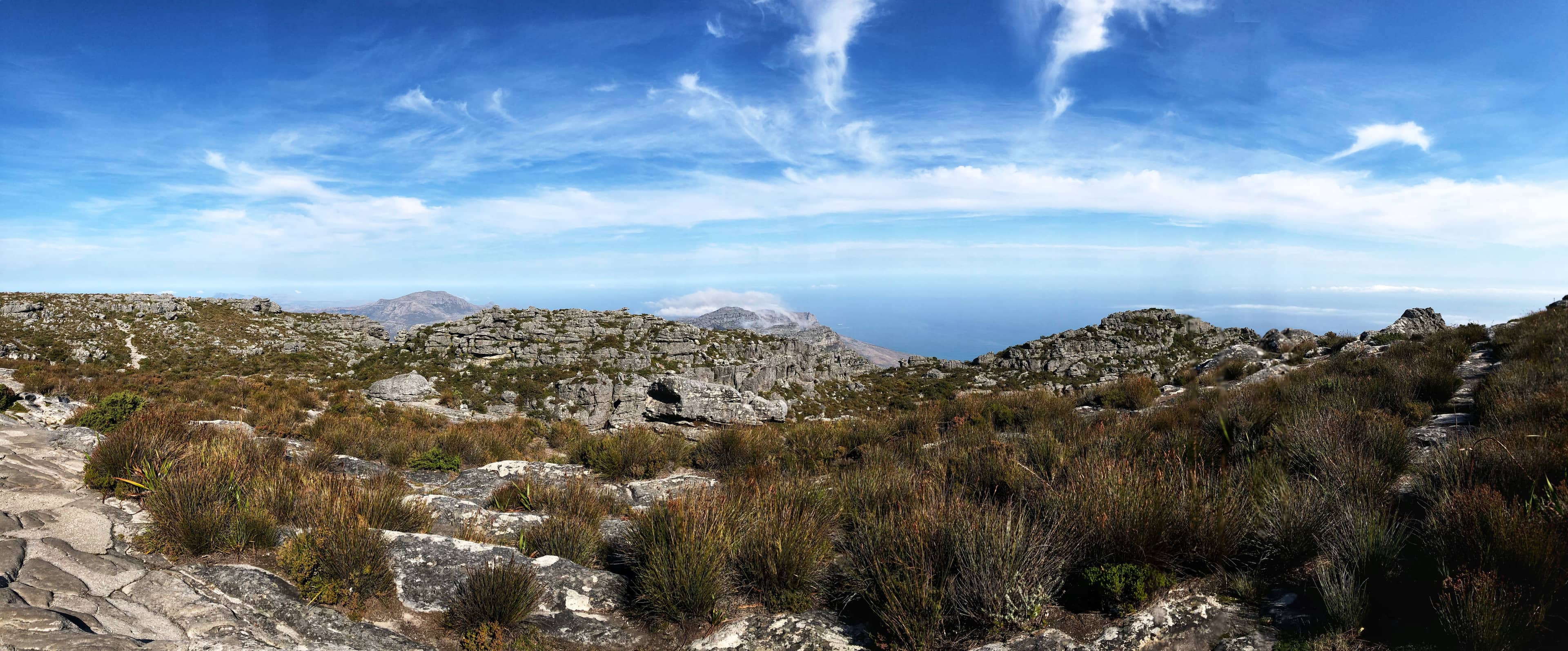 Panoramic Cape Town Vistas