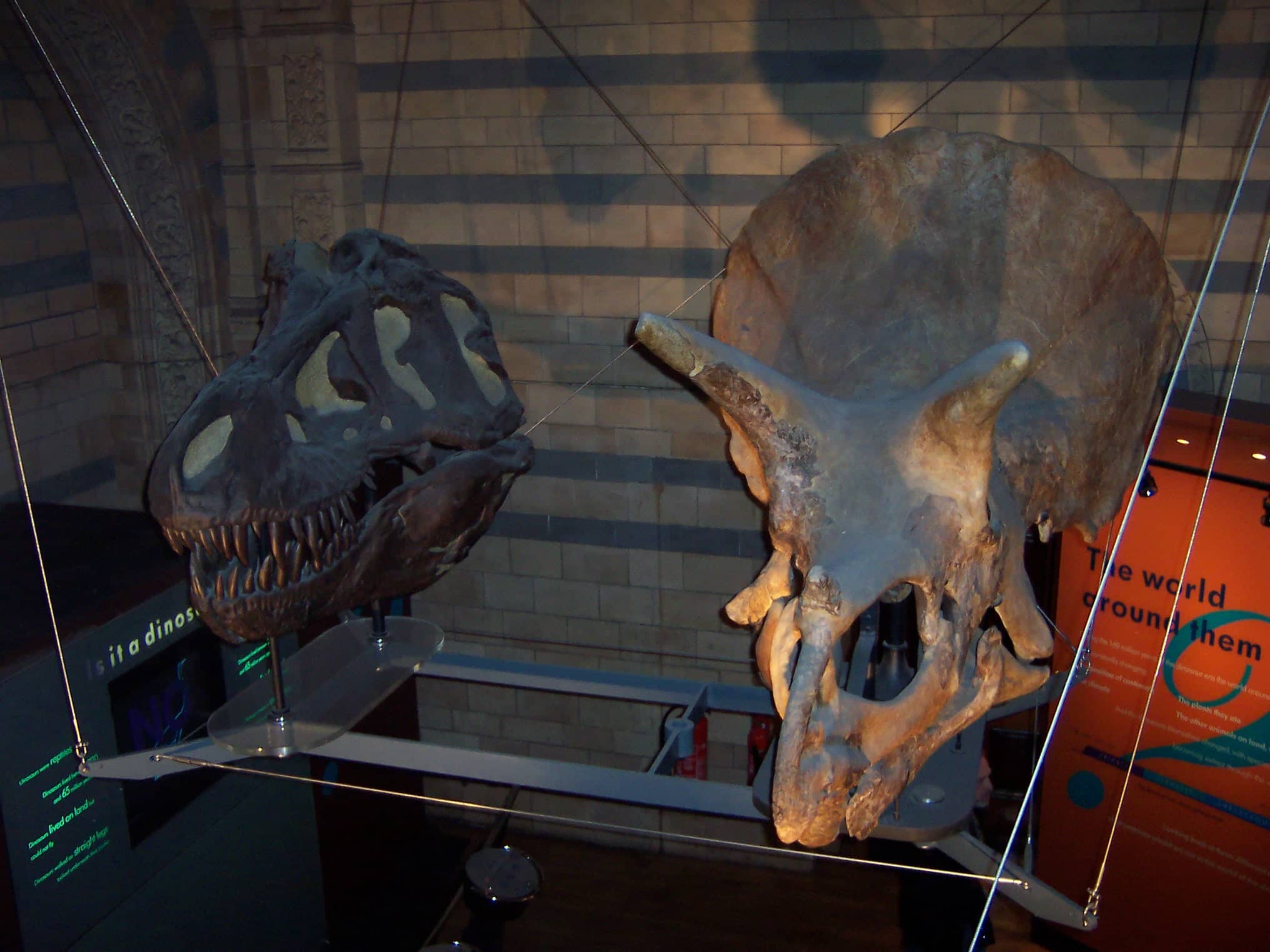 Dinosaur Gallery