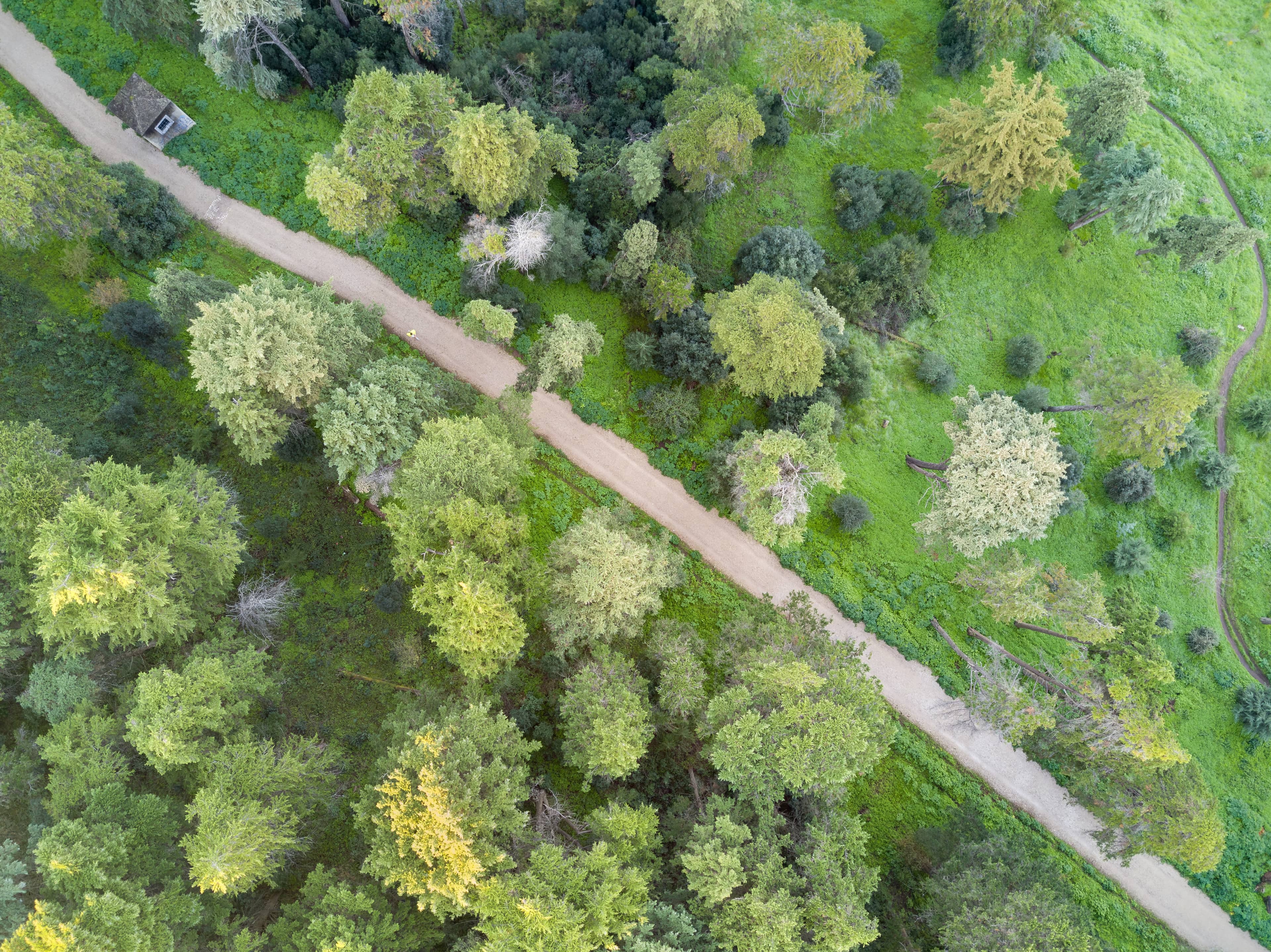 Tranquil Picnic Spots