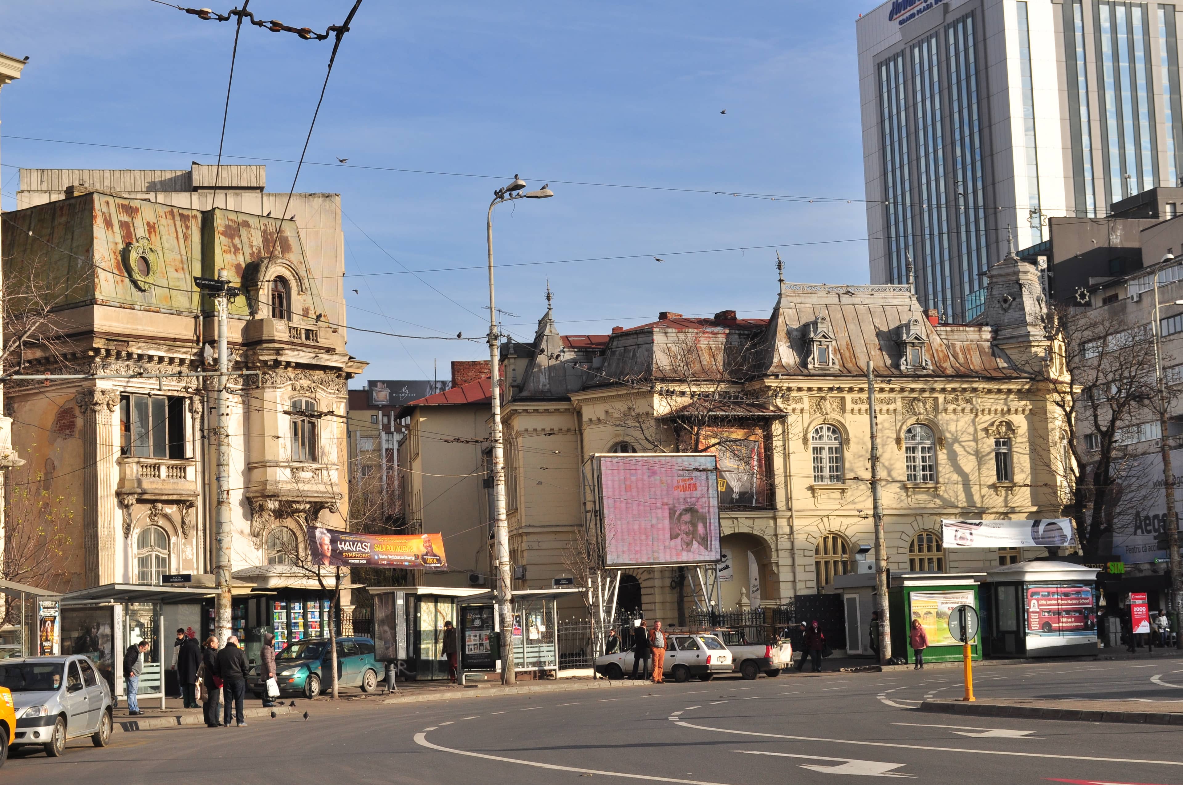 Street Food Delights