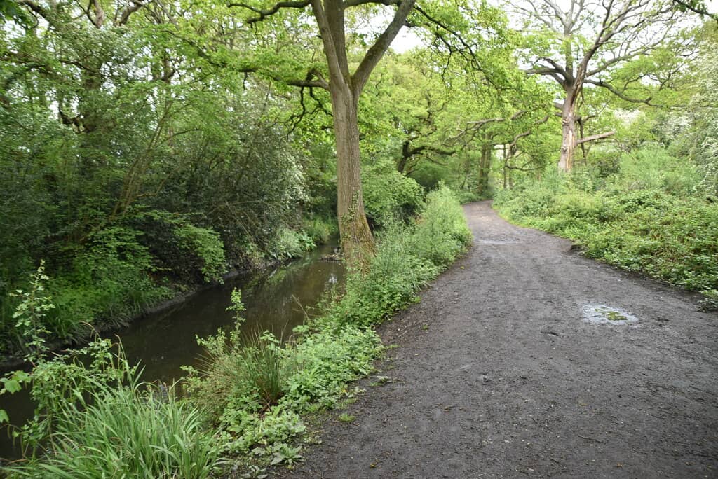 Wimbledon Common Trails