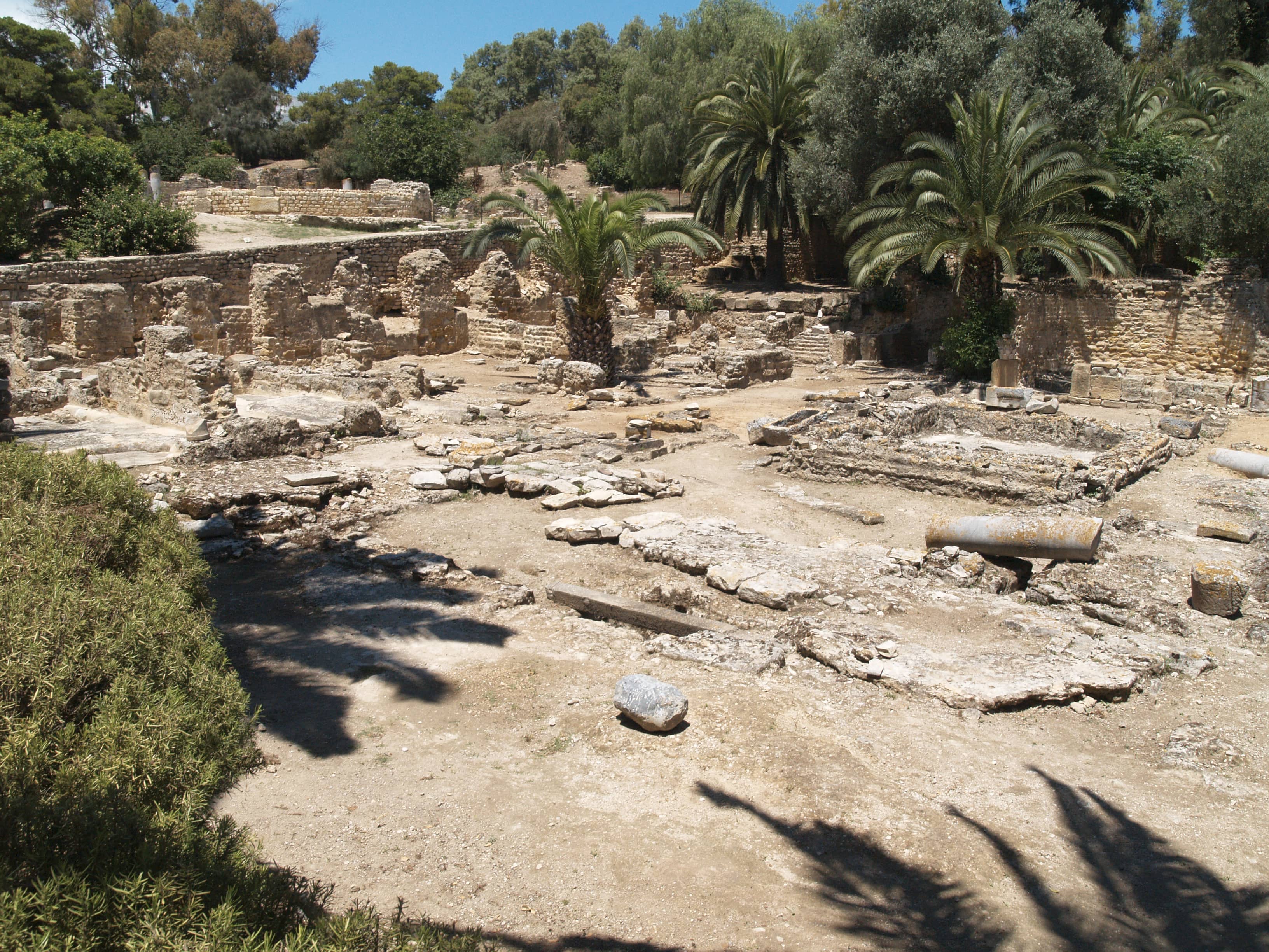 Punic Neighborhood Ruins