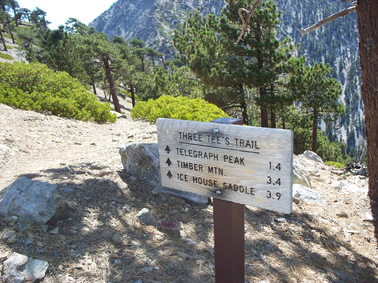 Scenic Hiking Trails