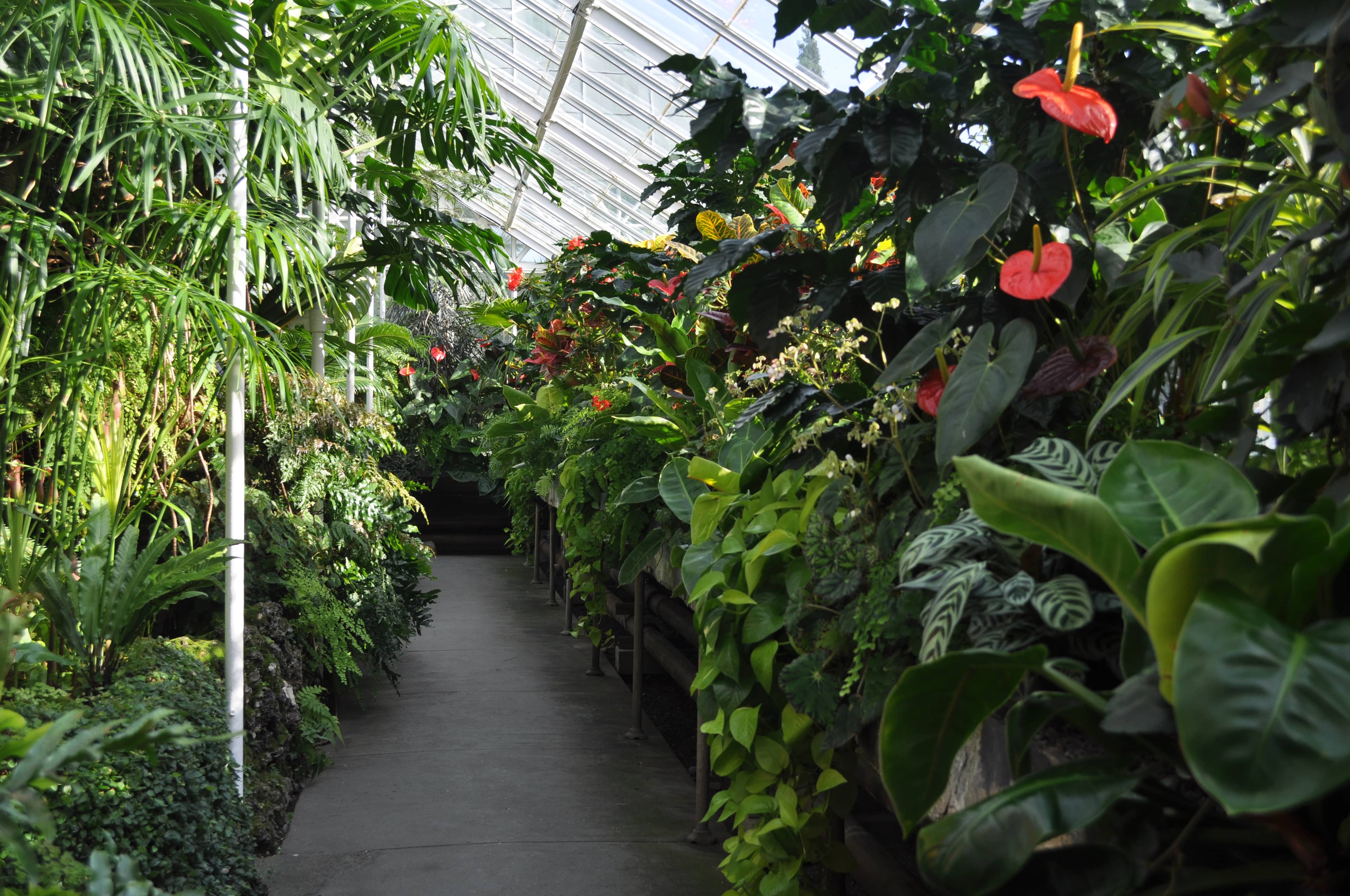 Volunteer Park Conservatory