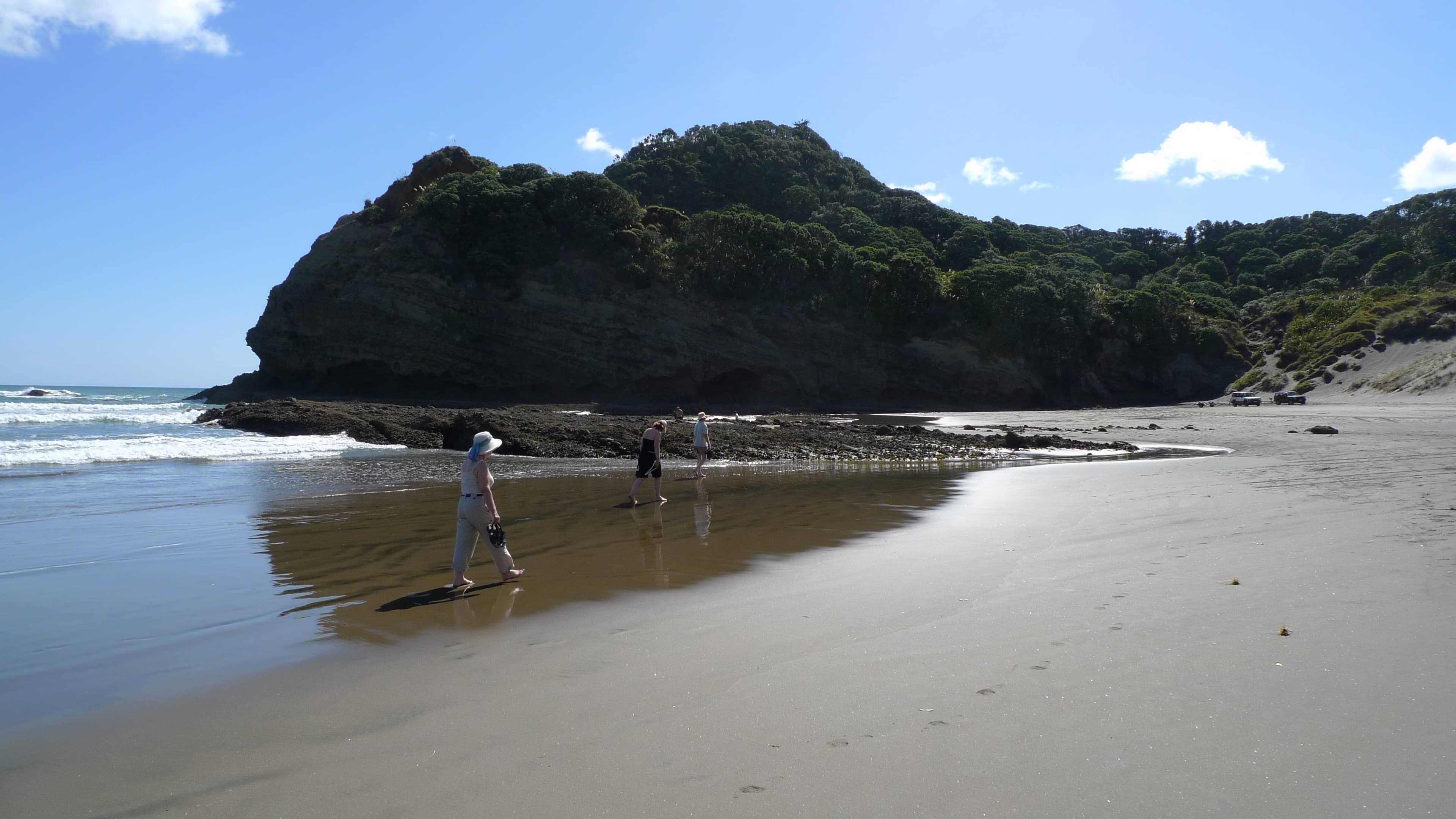 Muriwai Black Sand Beach