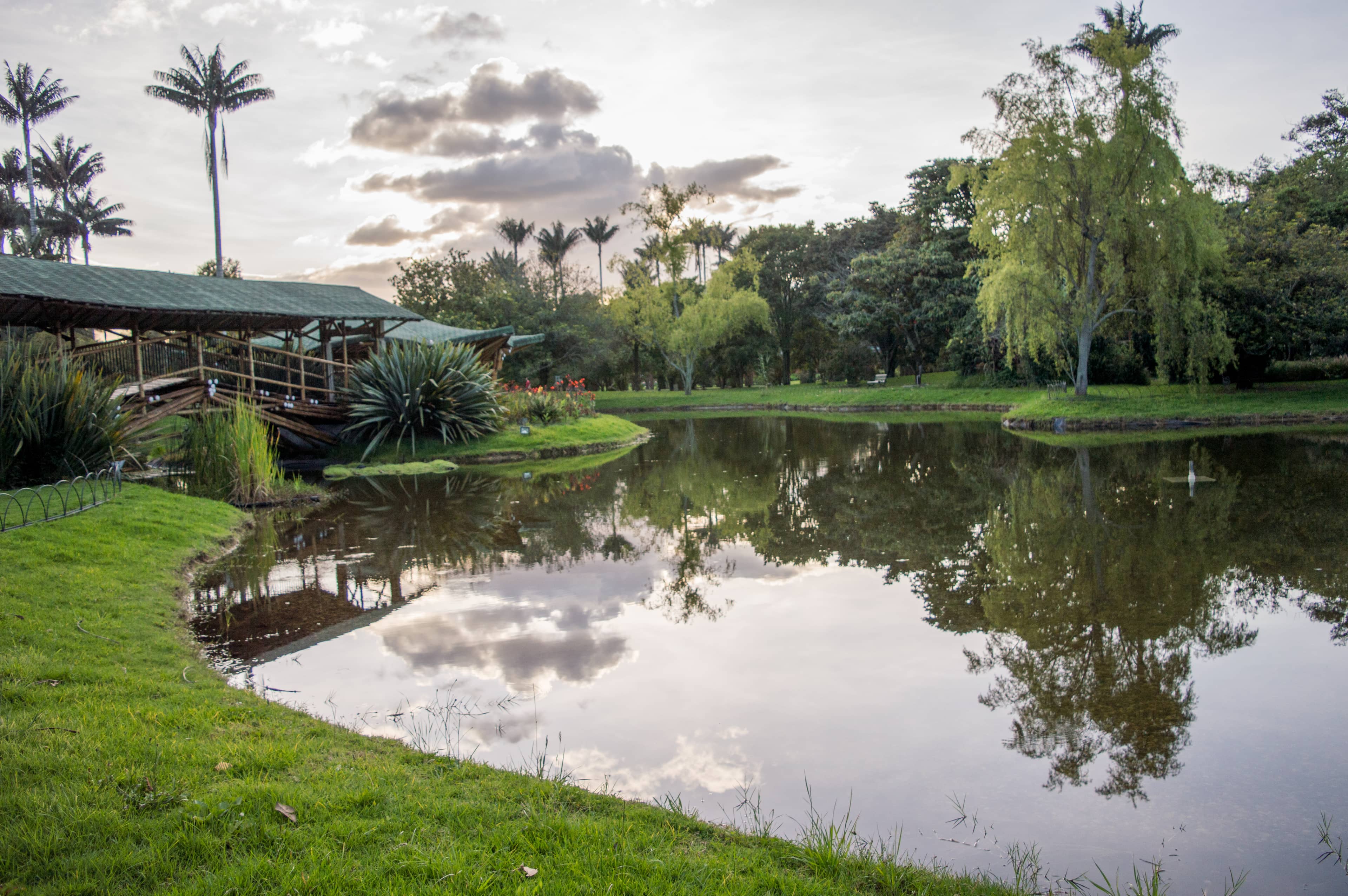 Tranquil Water Features