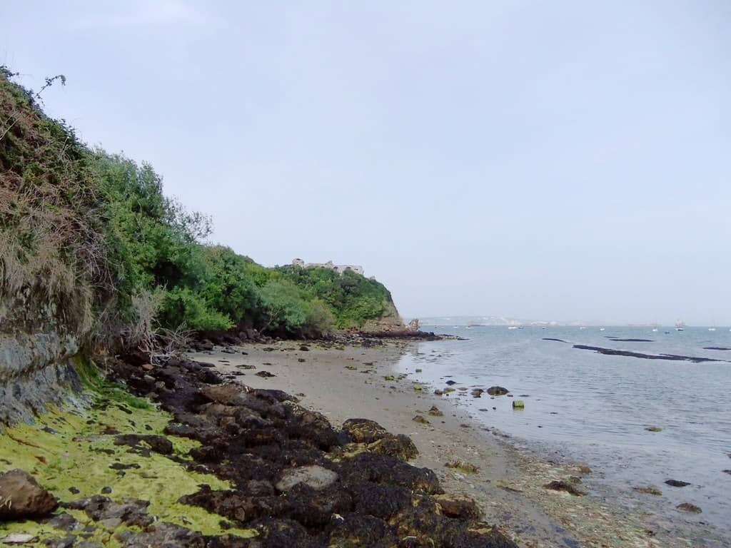 Castle Cove Beach