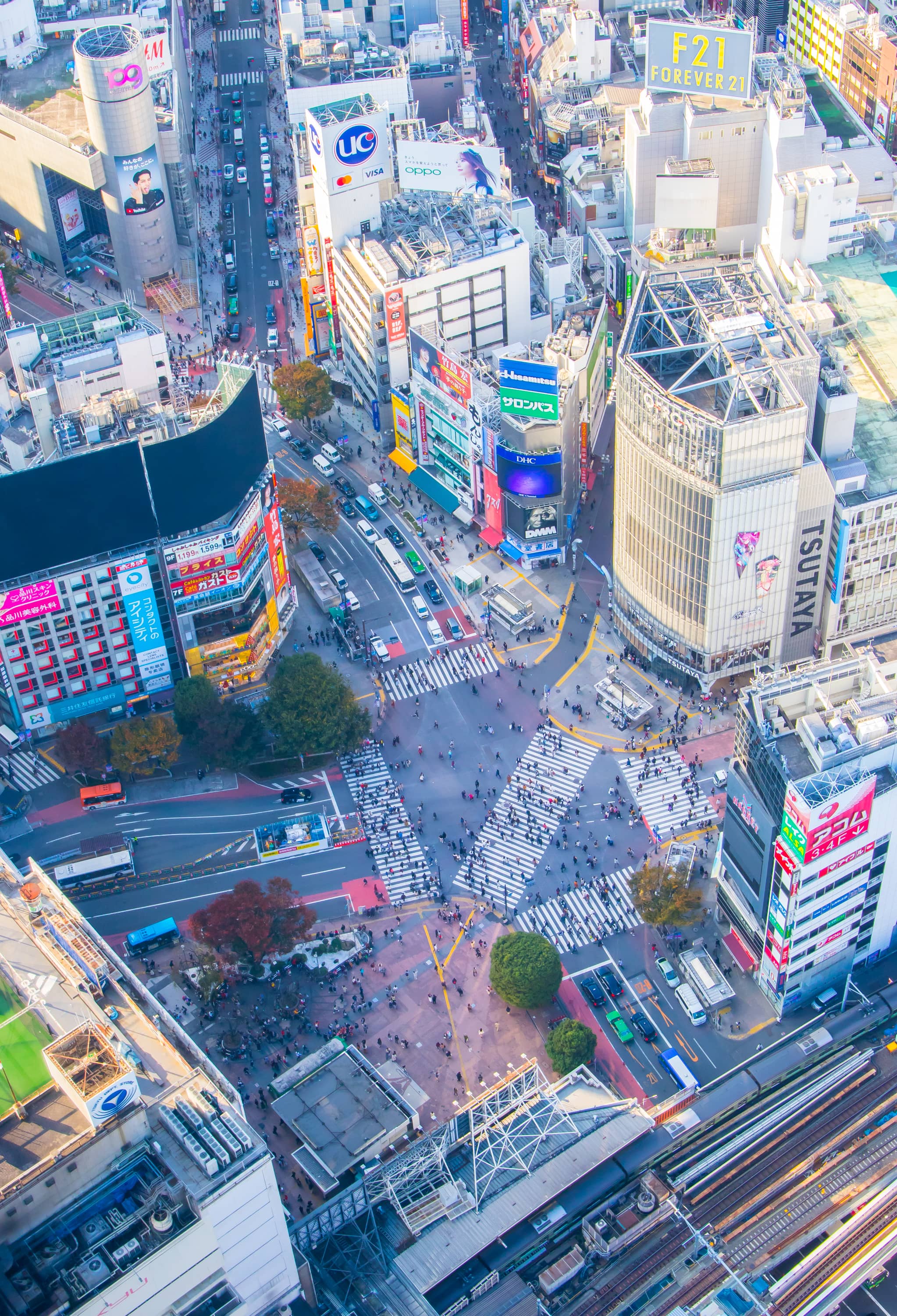 Shibuya Crossing from Above