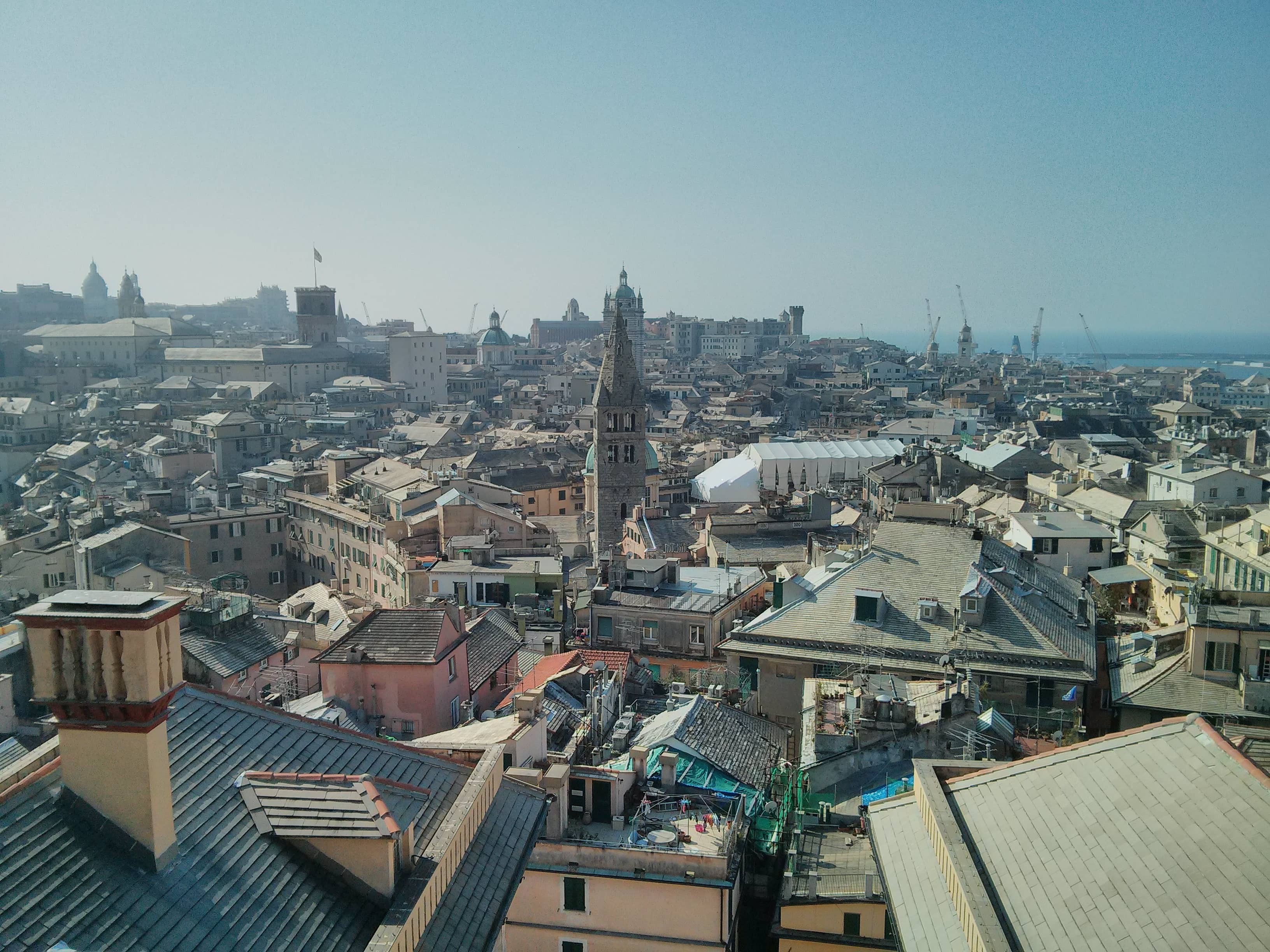 Rooftop Terraces