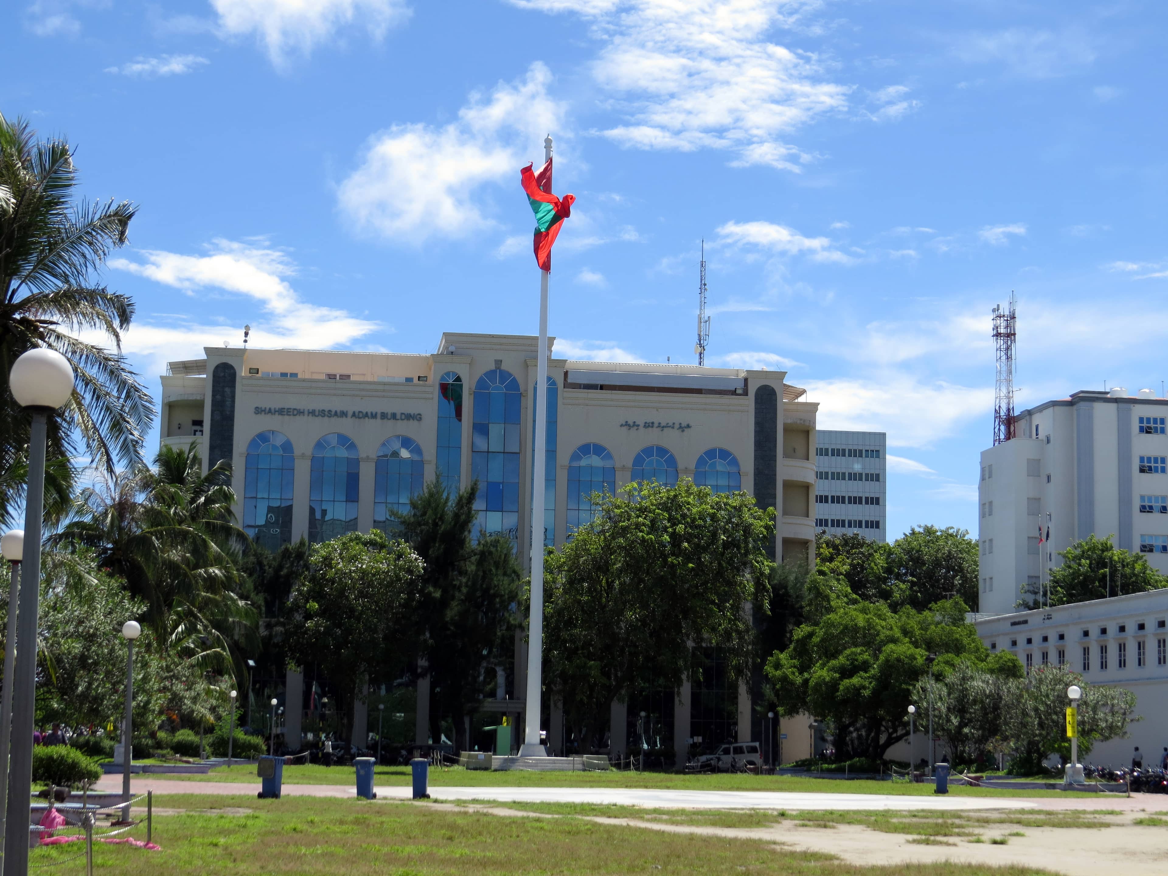 Palm-Lined Promenade