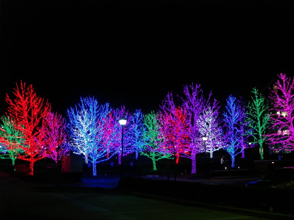 Holiday Lights on Broadway