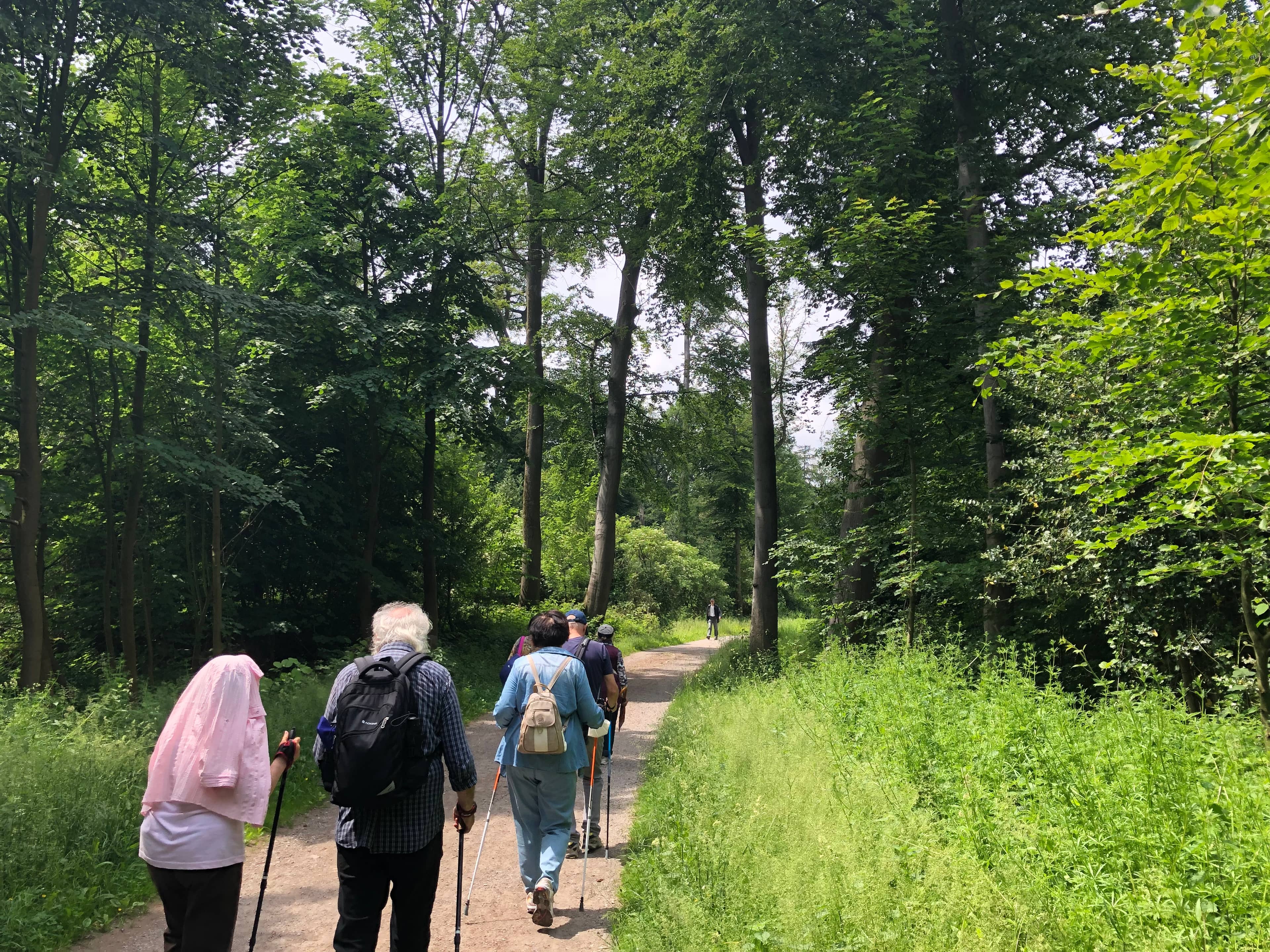 Extensive Trail Network