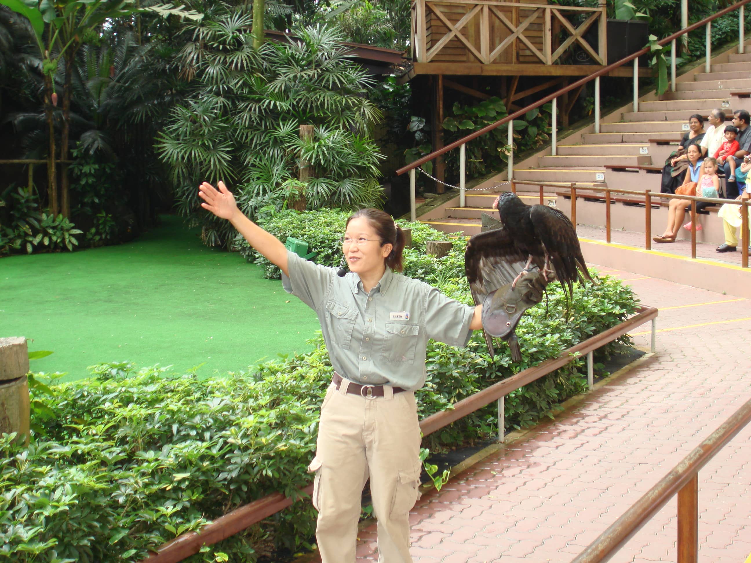 Bird Shows