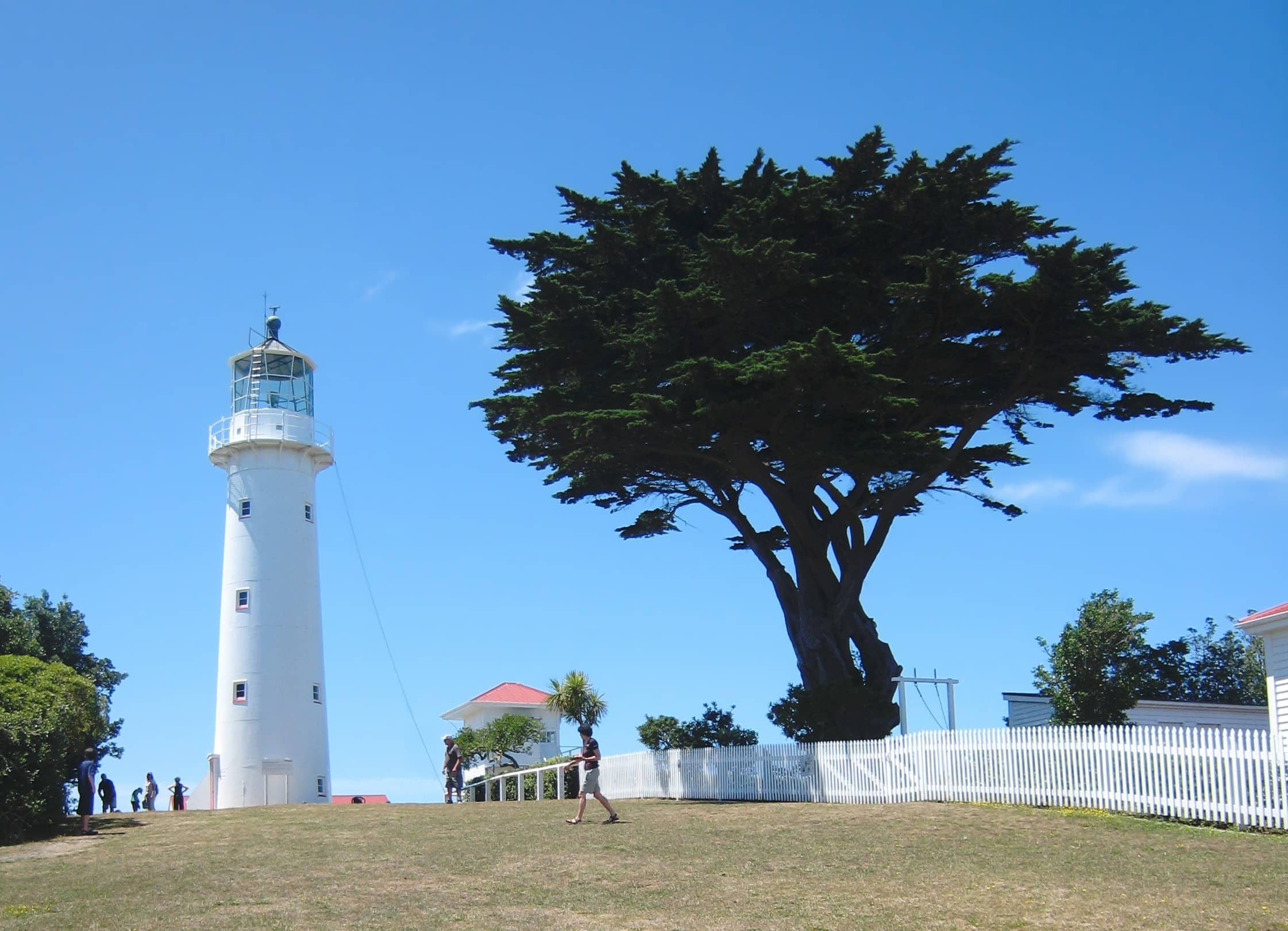 Tiritiri Matangi Lighthouse