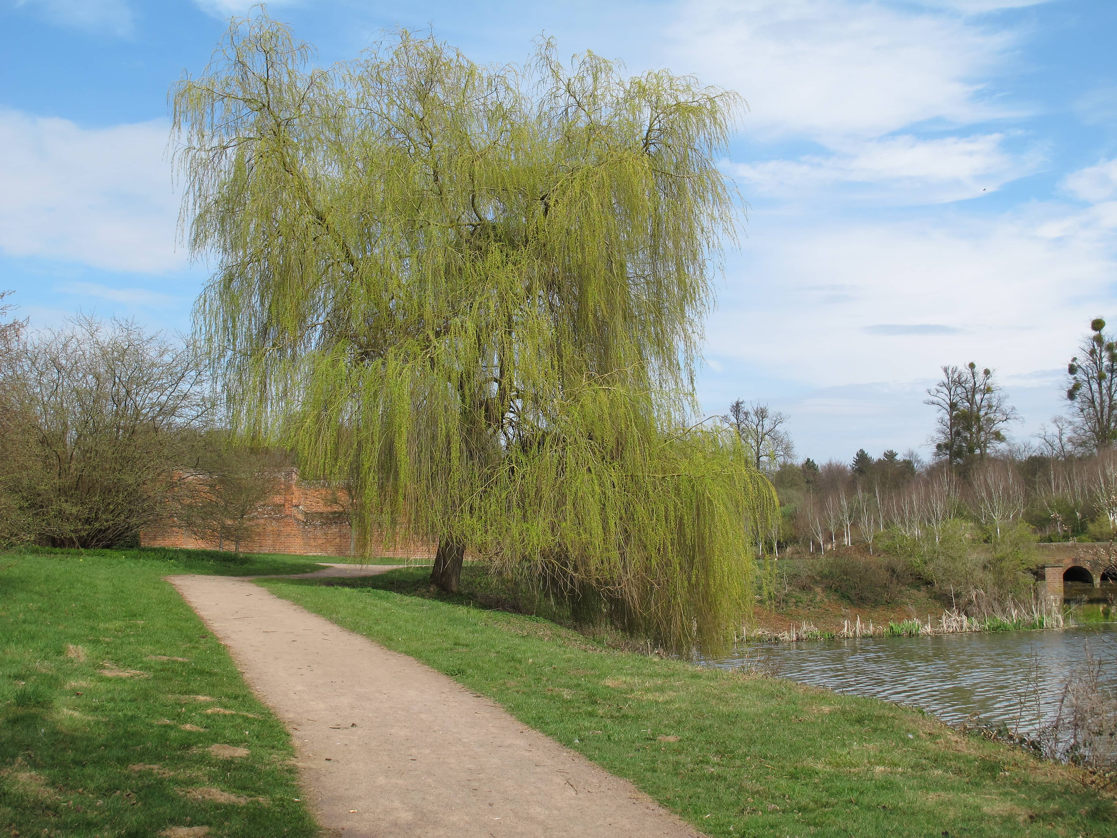 Lakes and River Walks