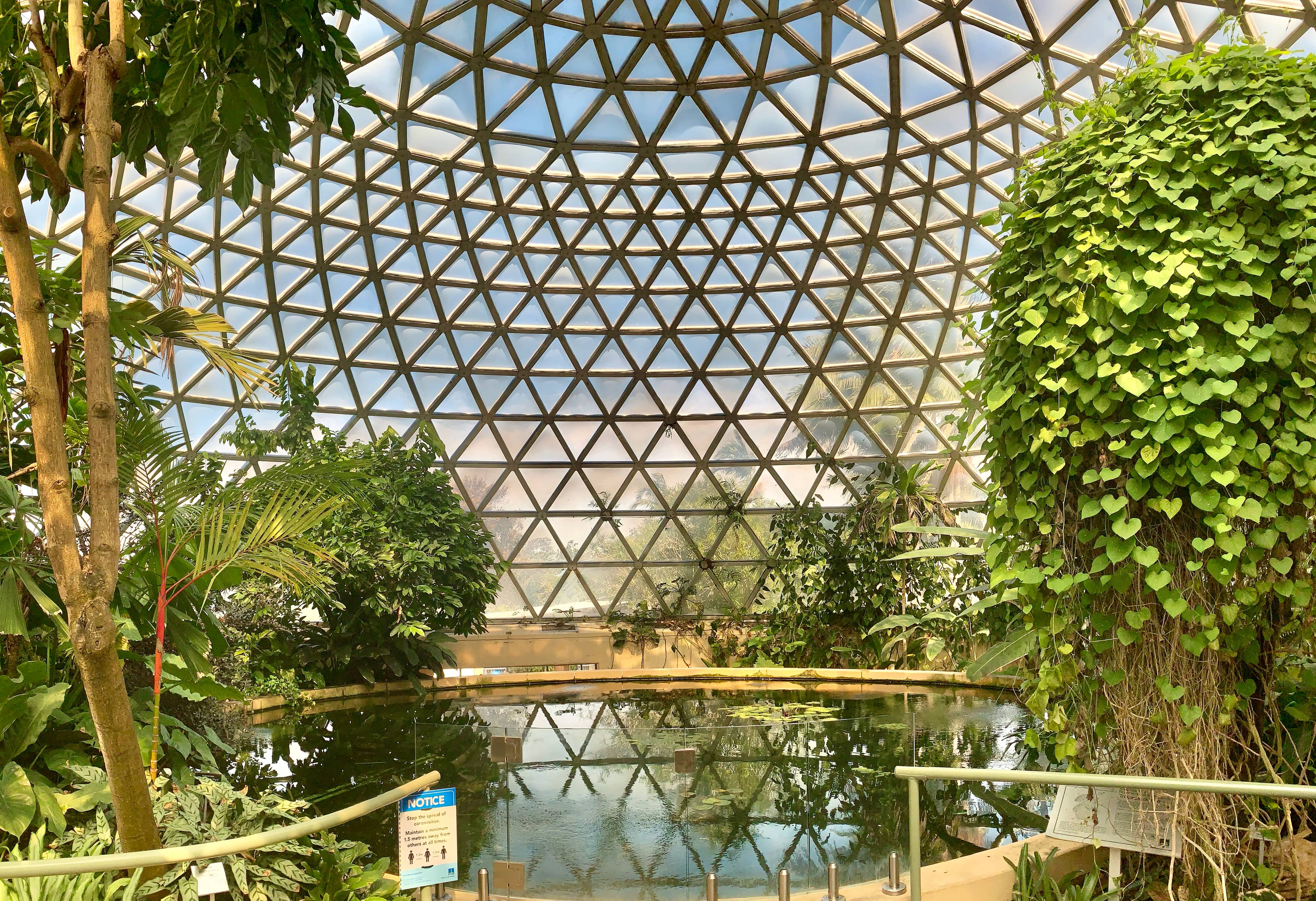 Brisbane Botanic Gardens