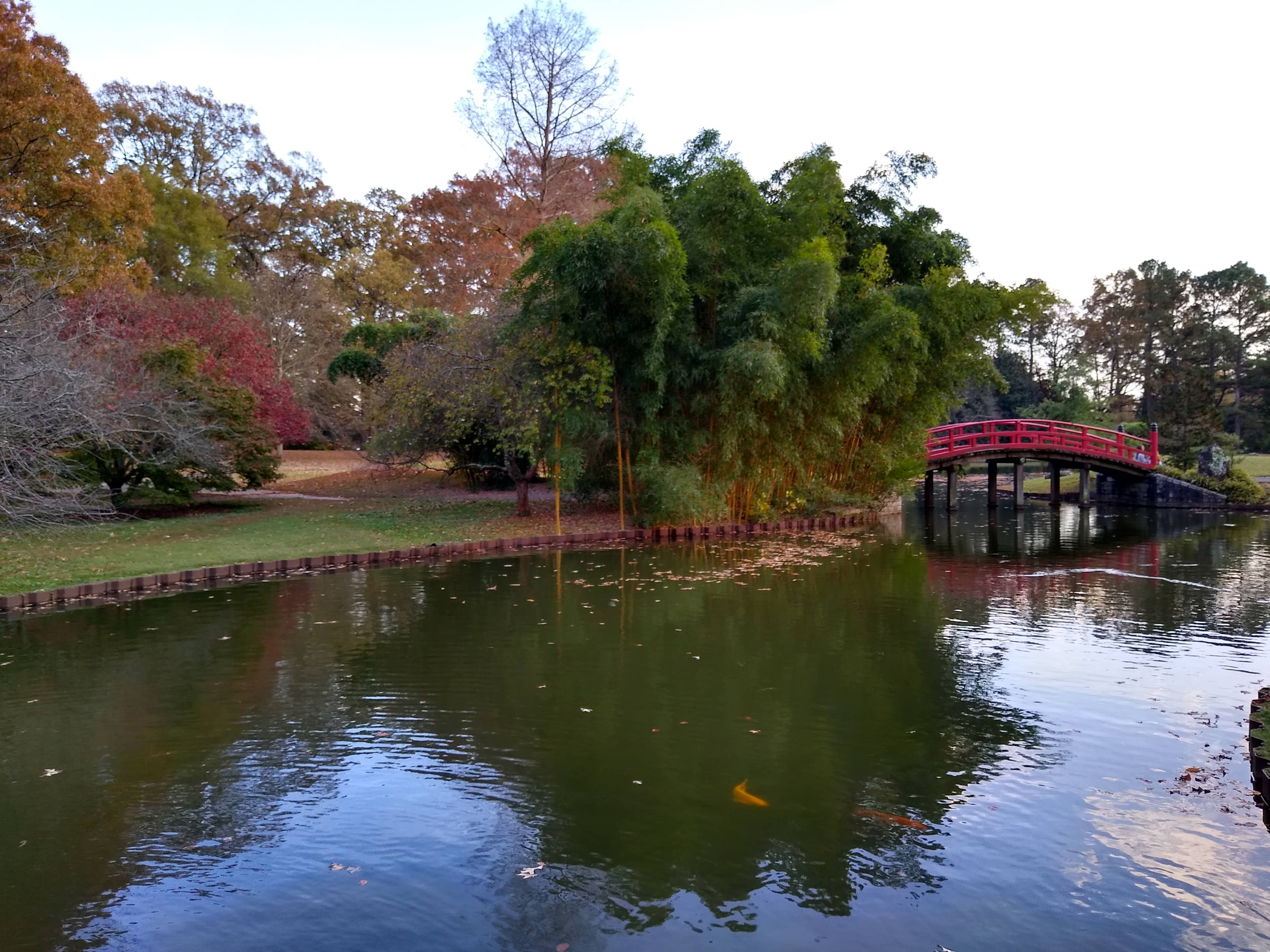 Japanese Garden