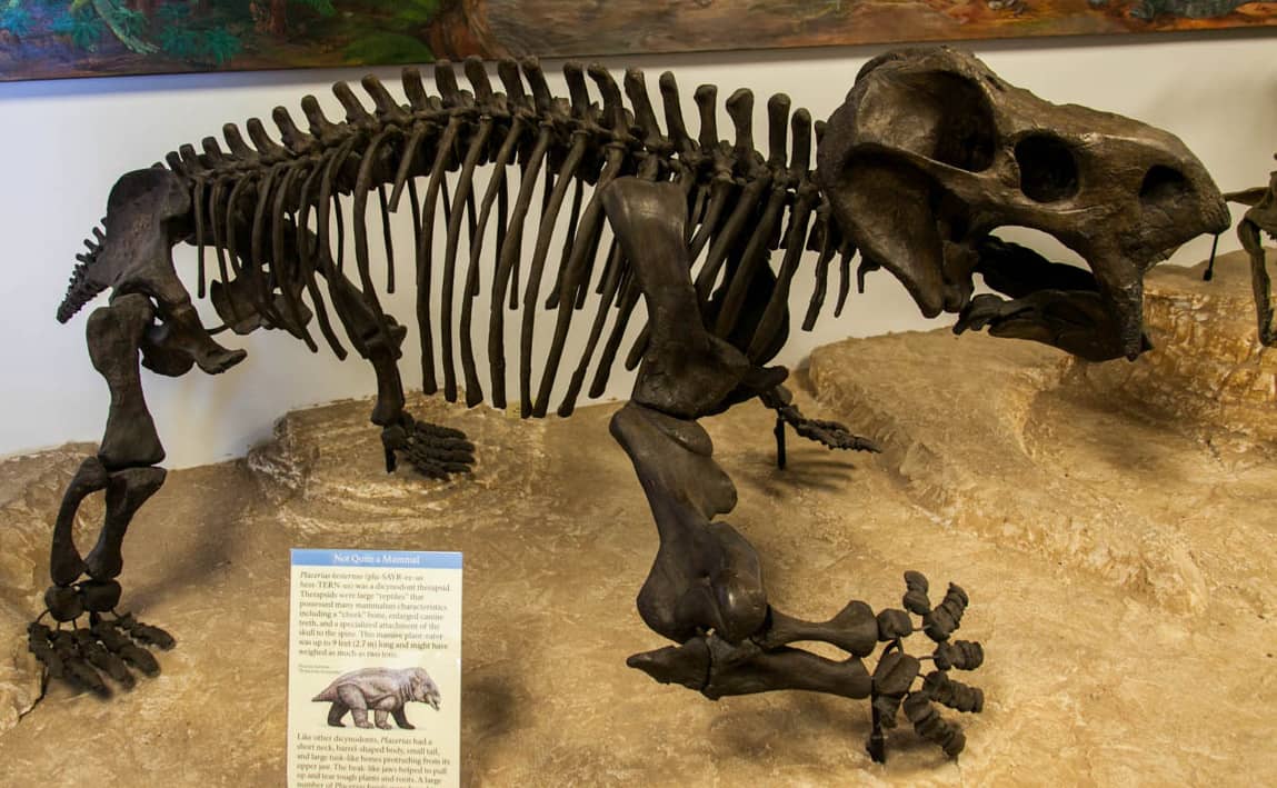 Interactive Exhibits