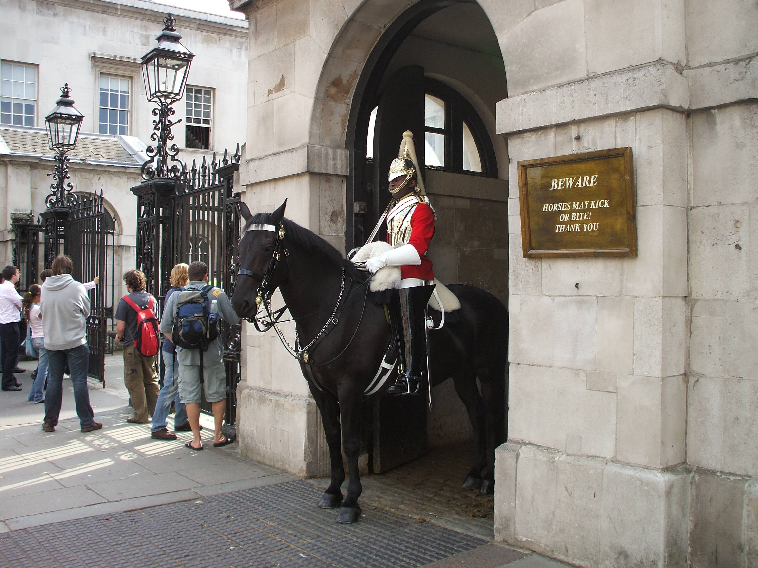 The Horses Themselves