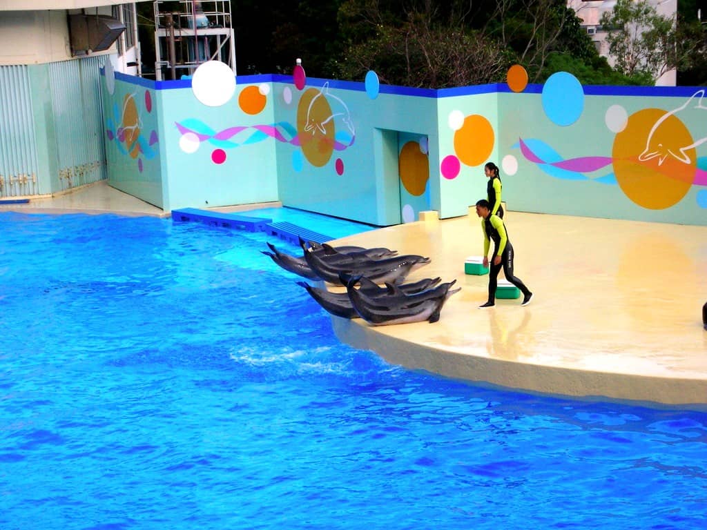 Ocean Theatre Shows