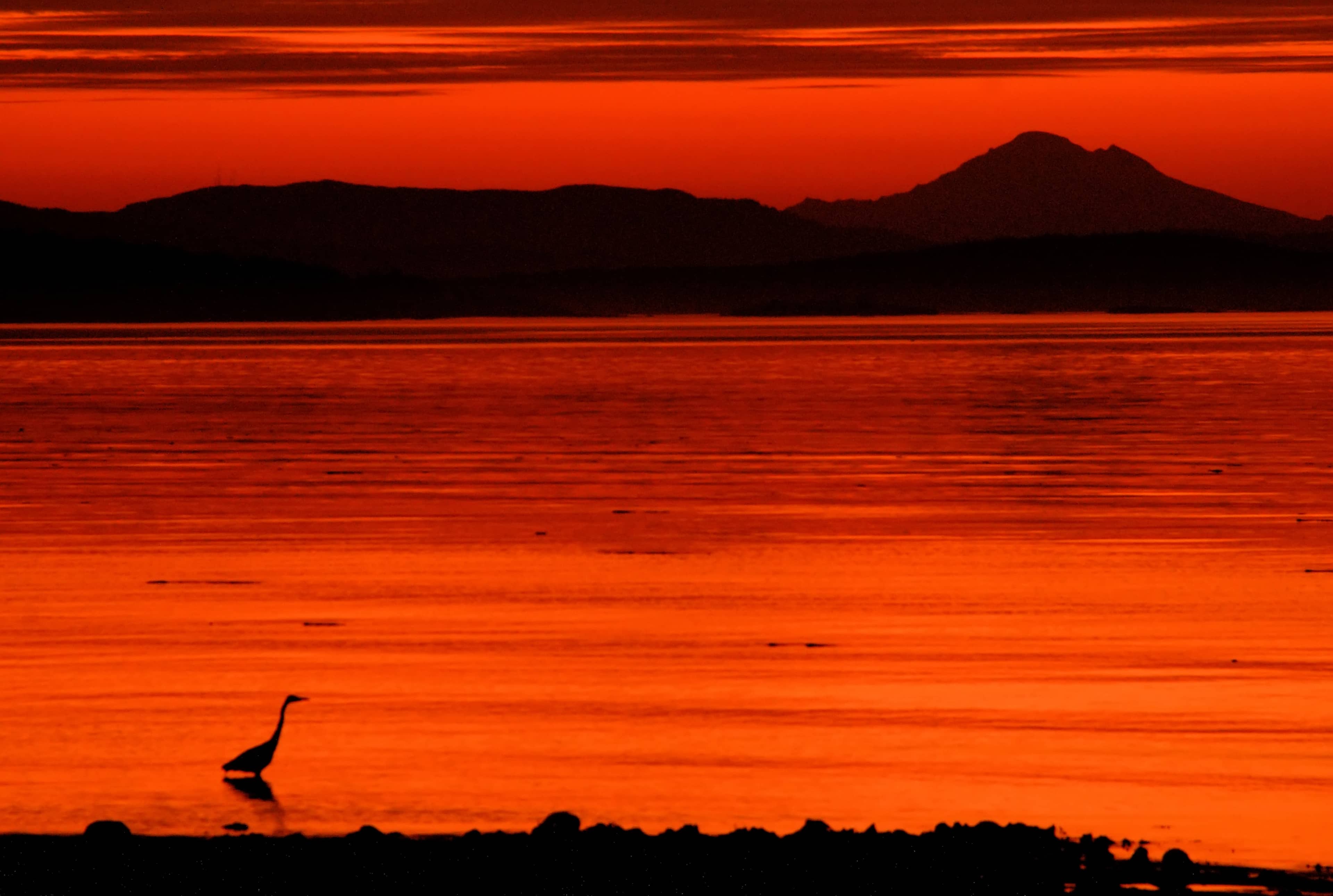 Birdwatching Haven