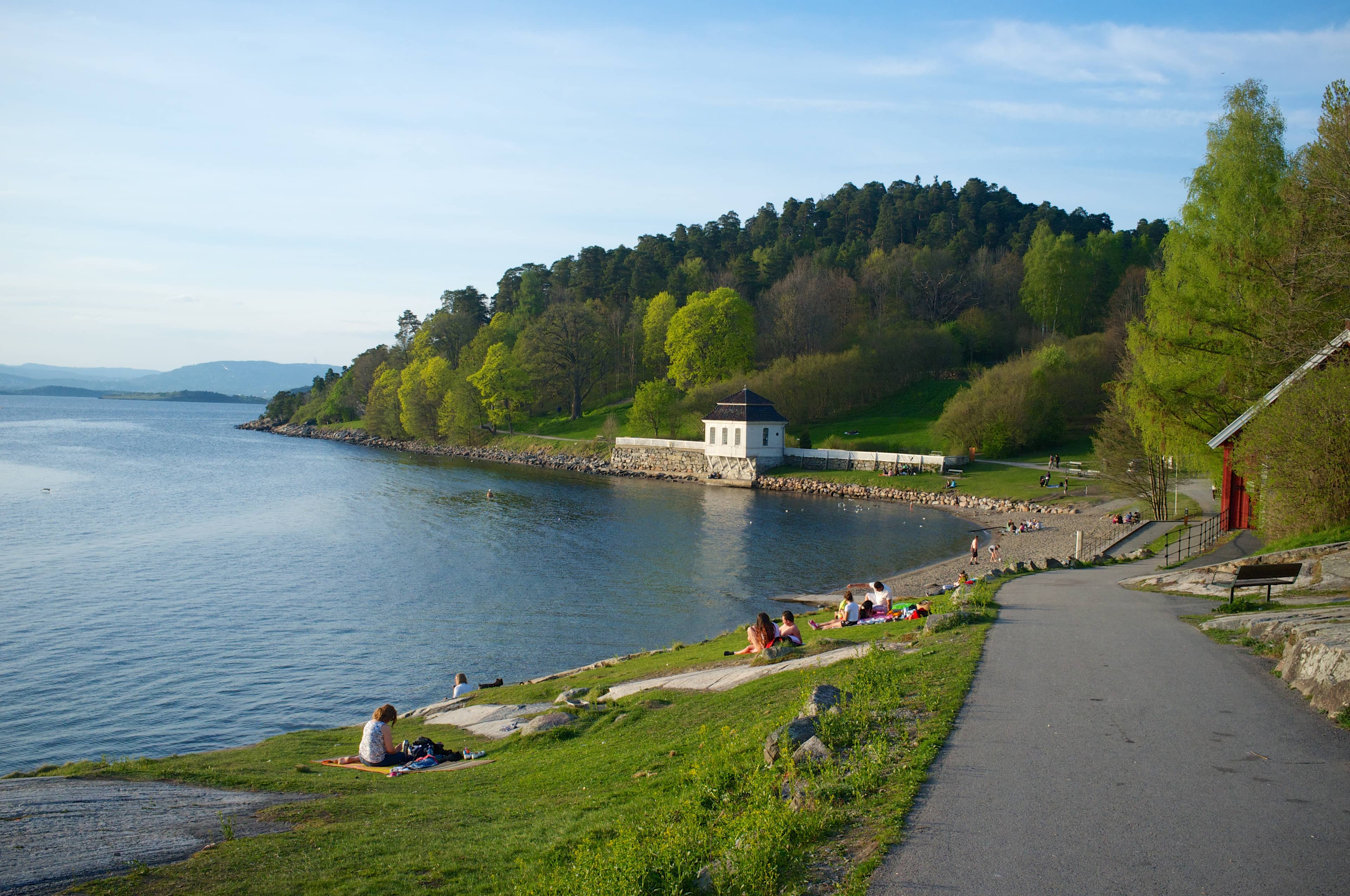 Rocky Outcrops (Svaberg)