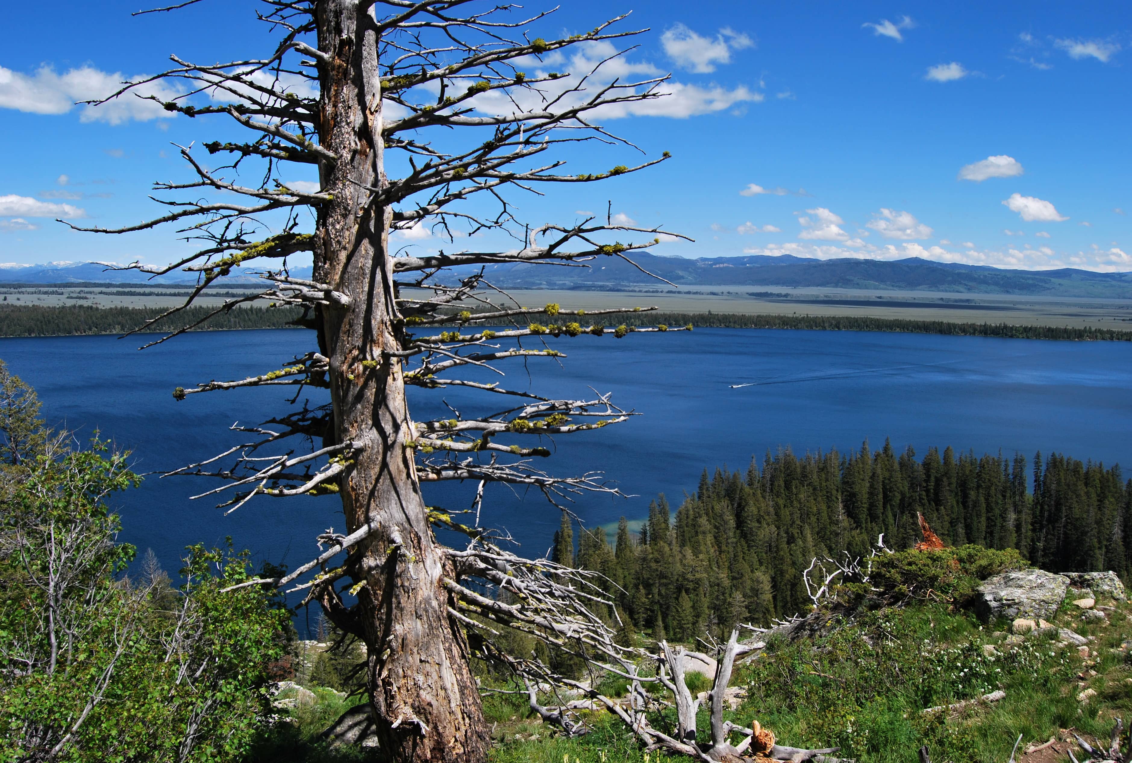Inspiration Point Views