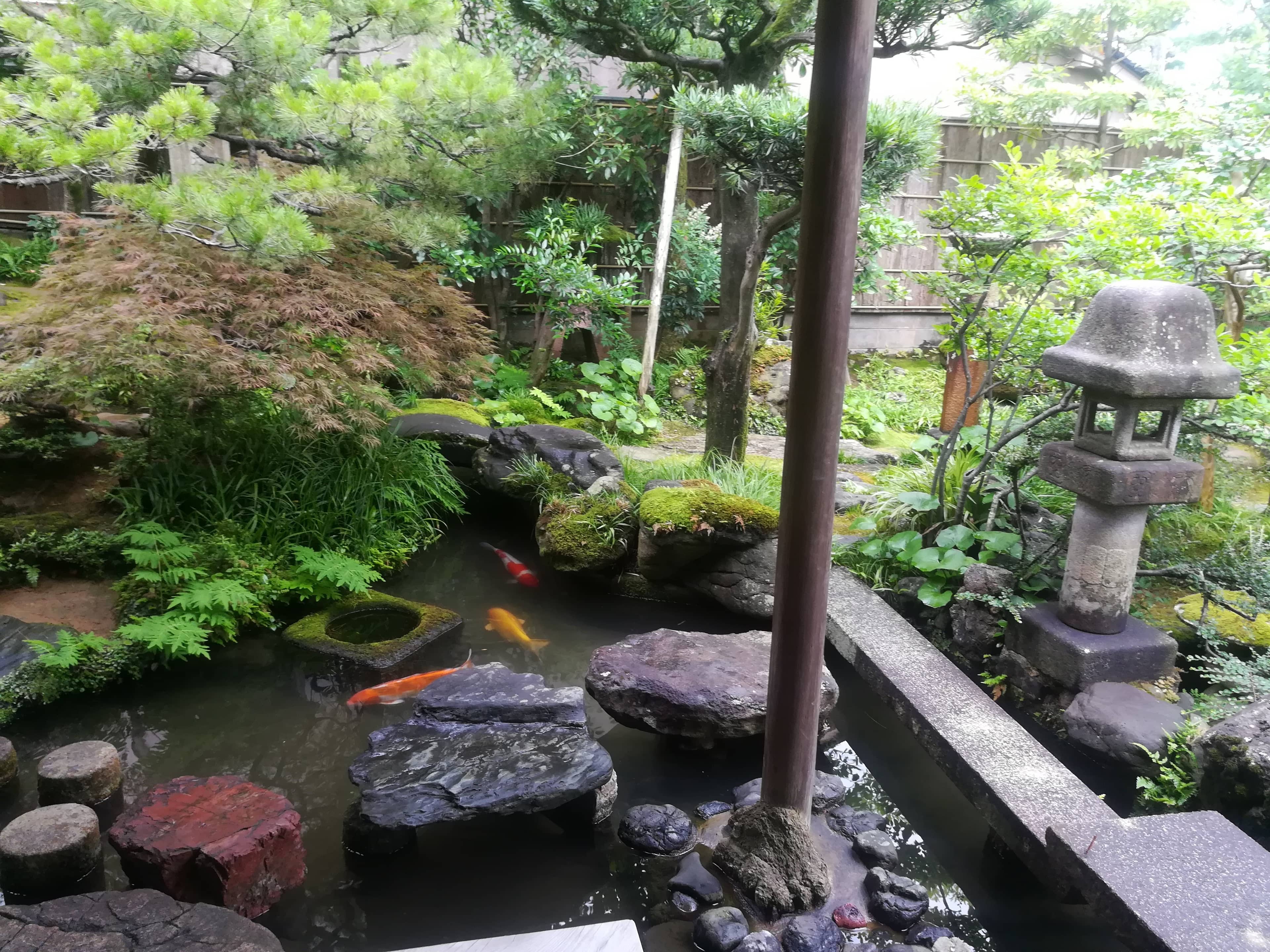 Tranquil Fish Pond