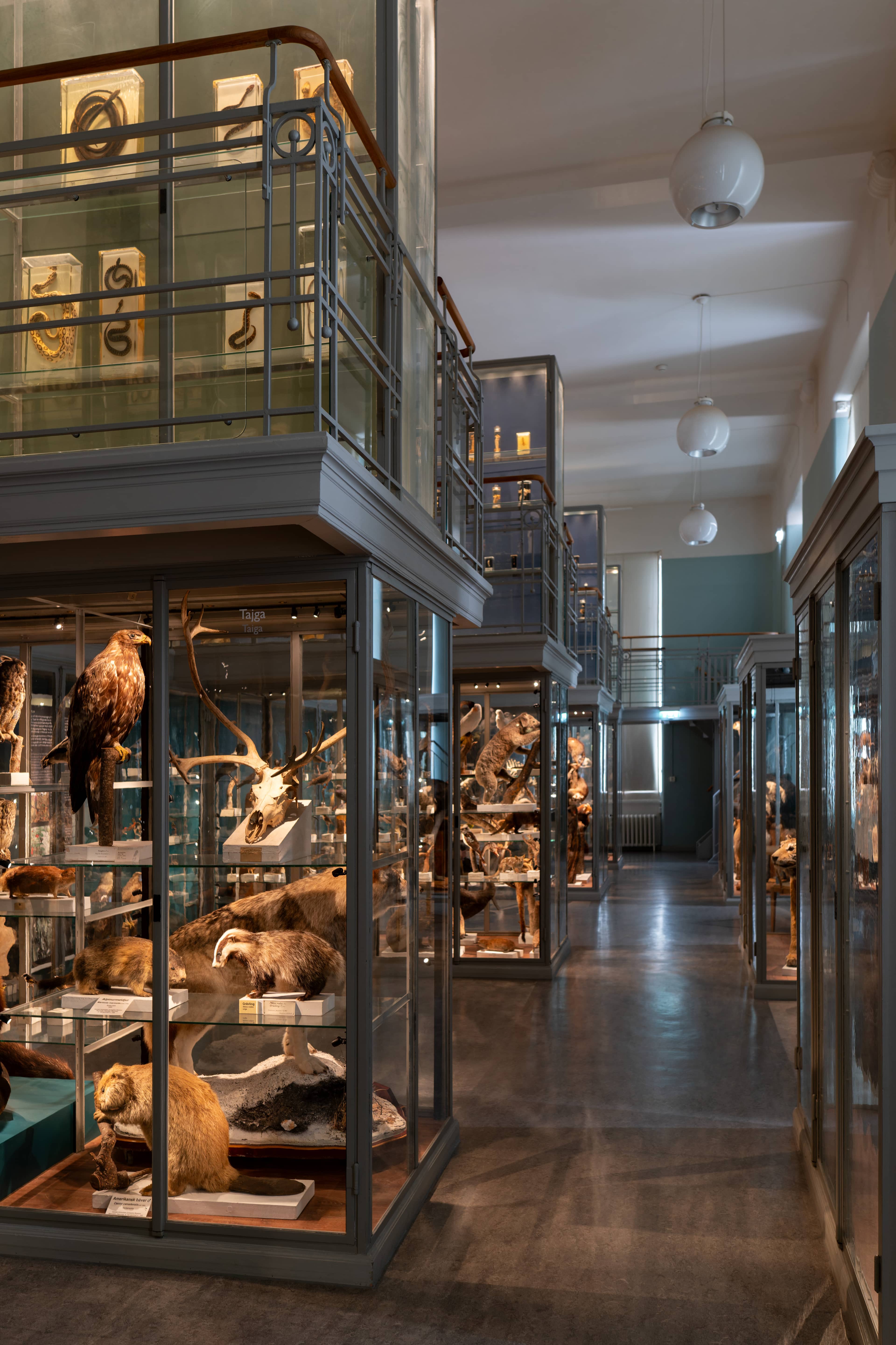 Interactive & Family-Friendly