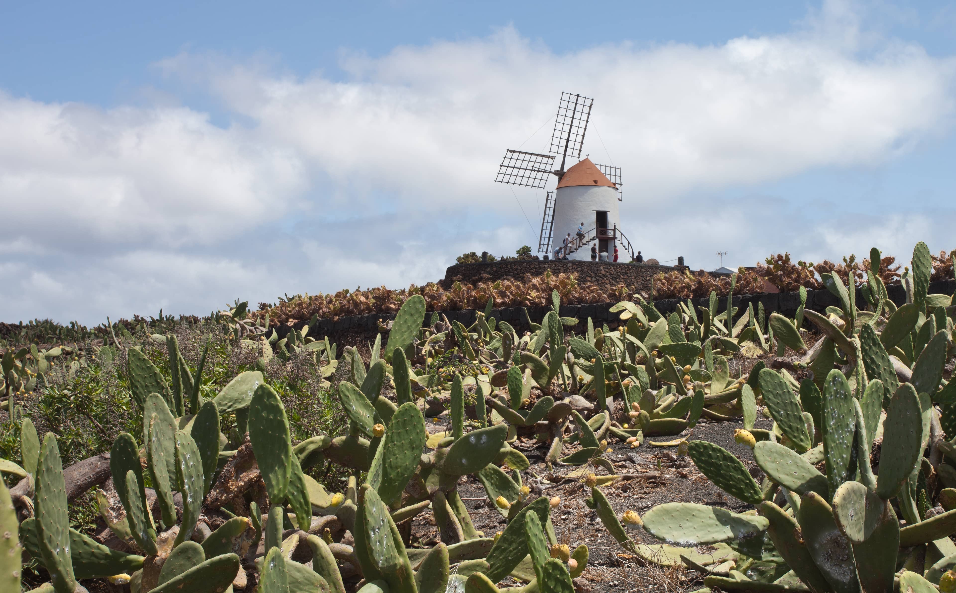 Restored Windmill