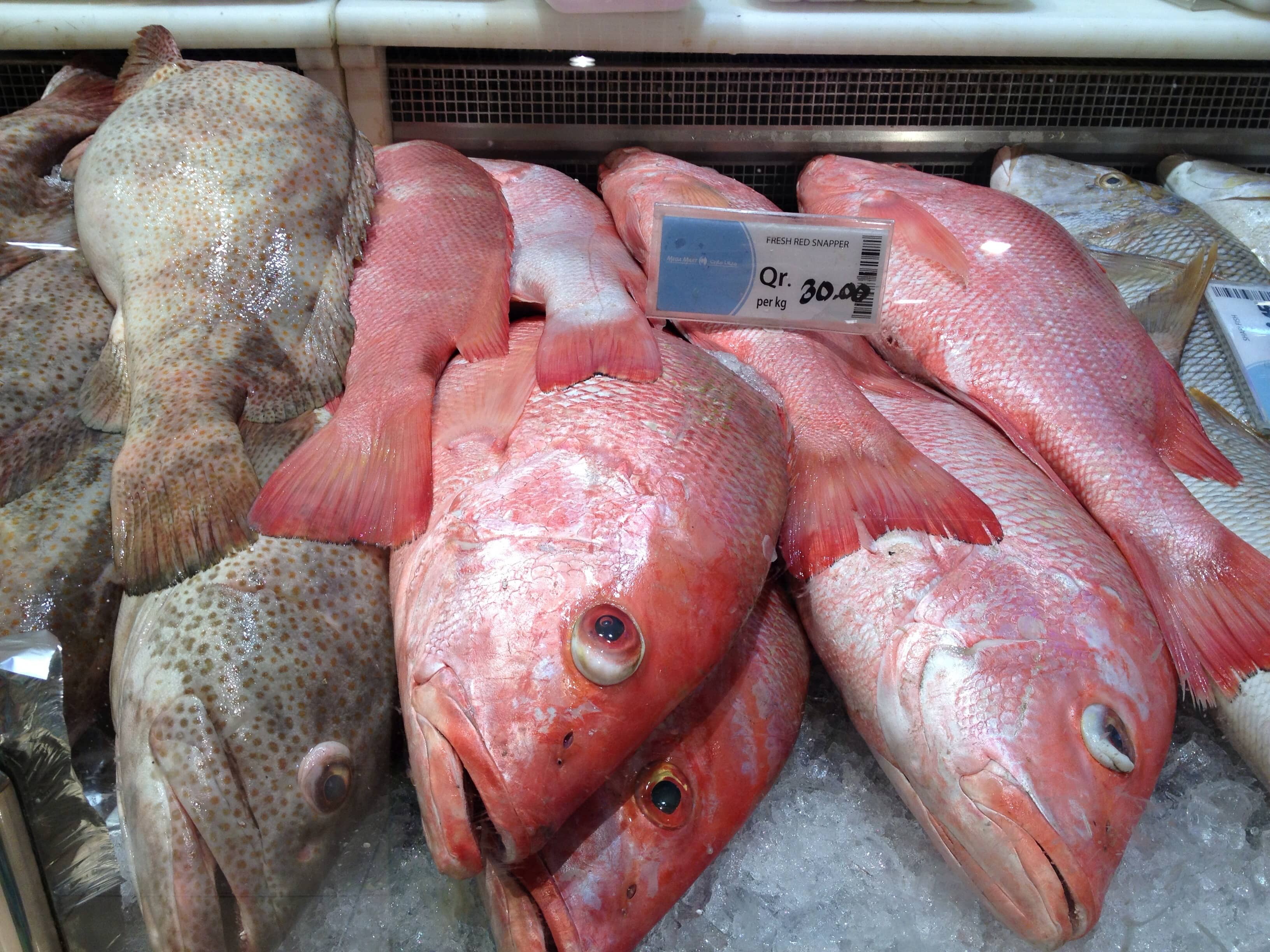 Fish Market