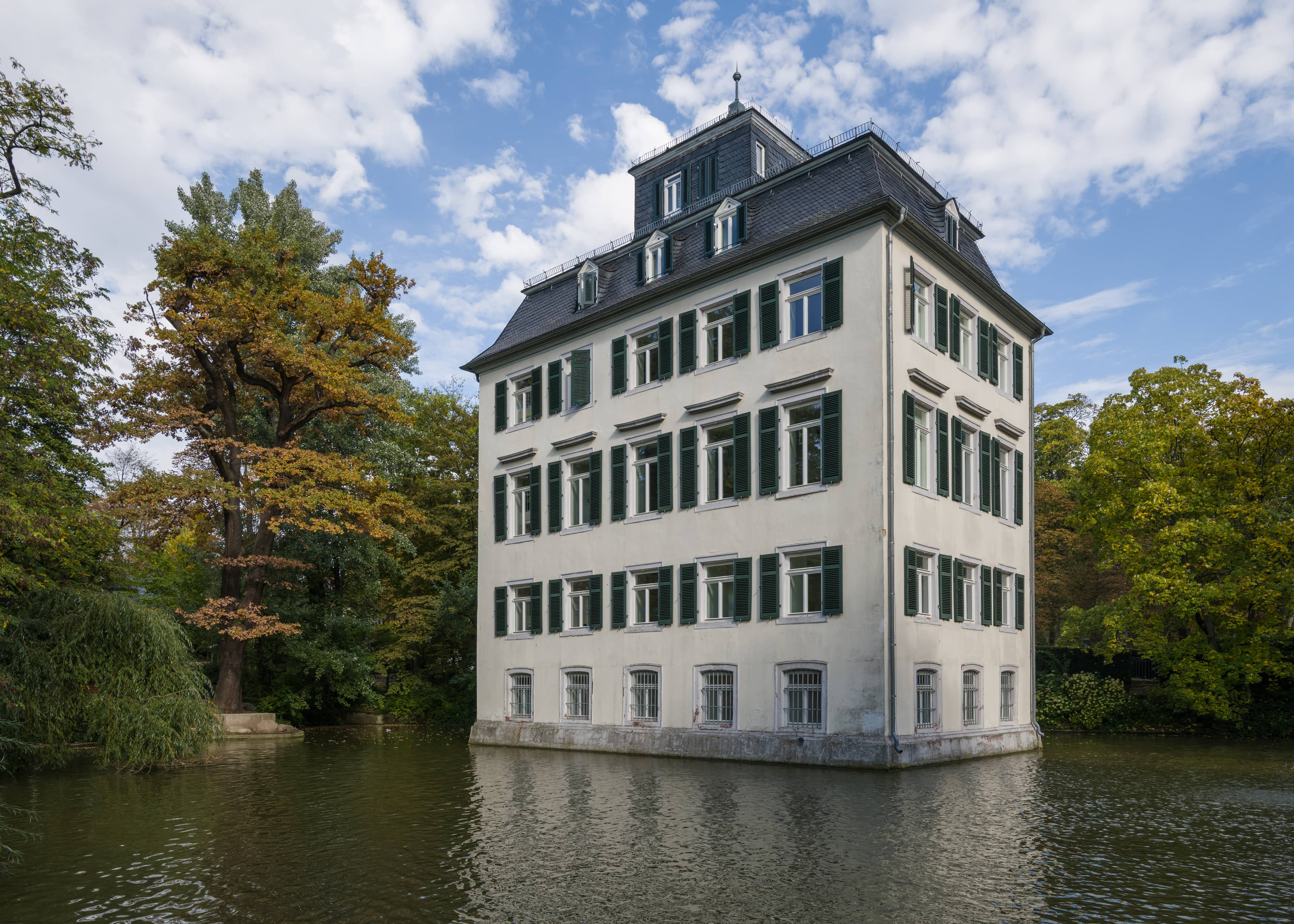 Expansive Playground